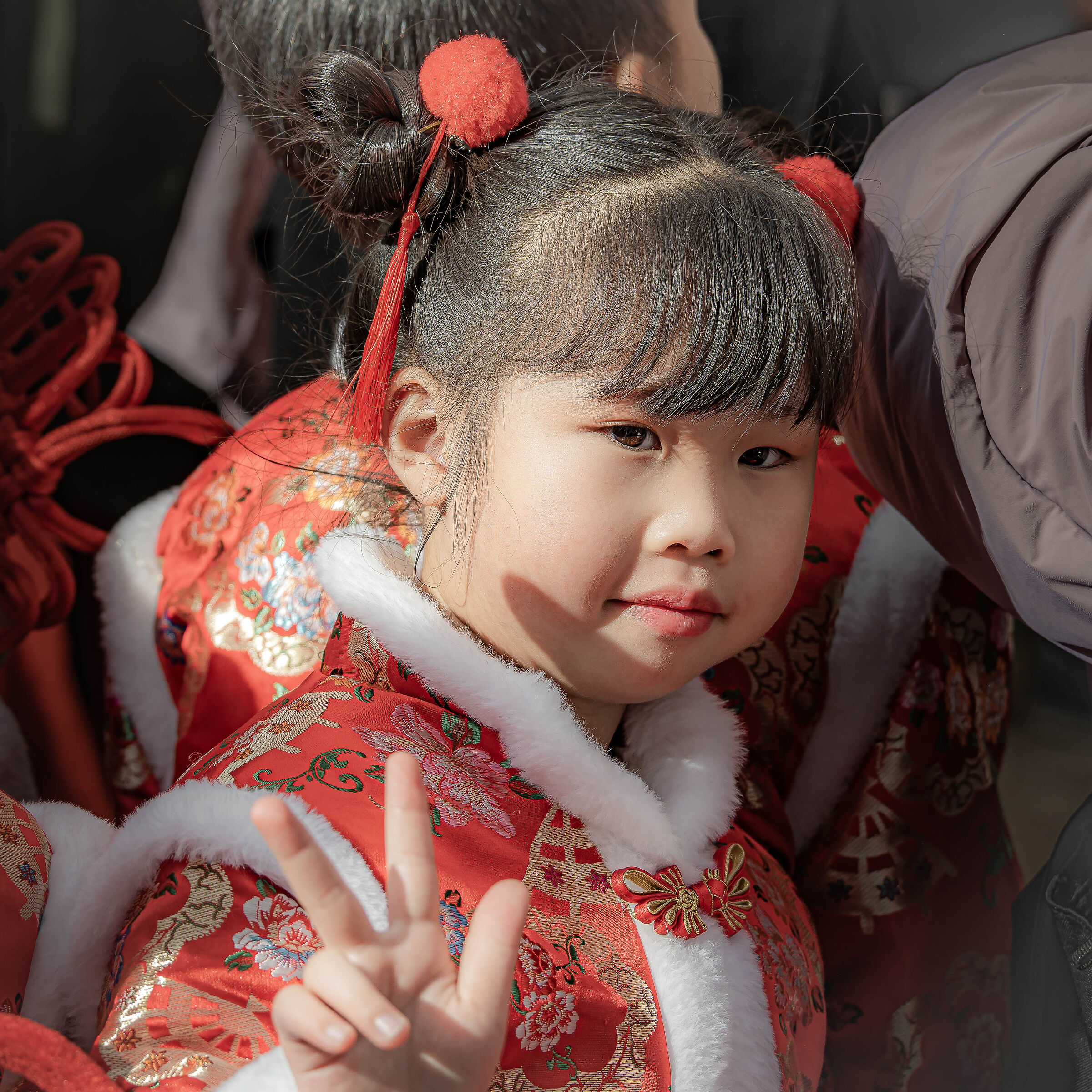 Rome, Chinese New Year 2025