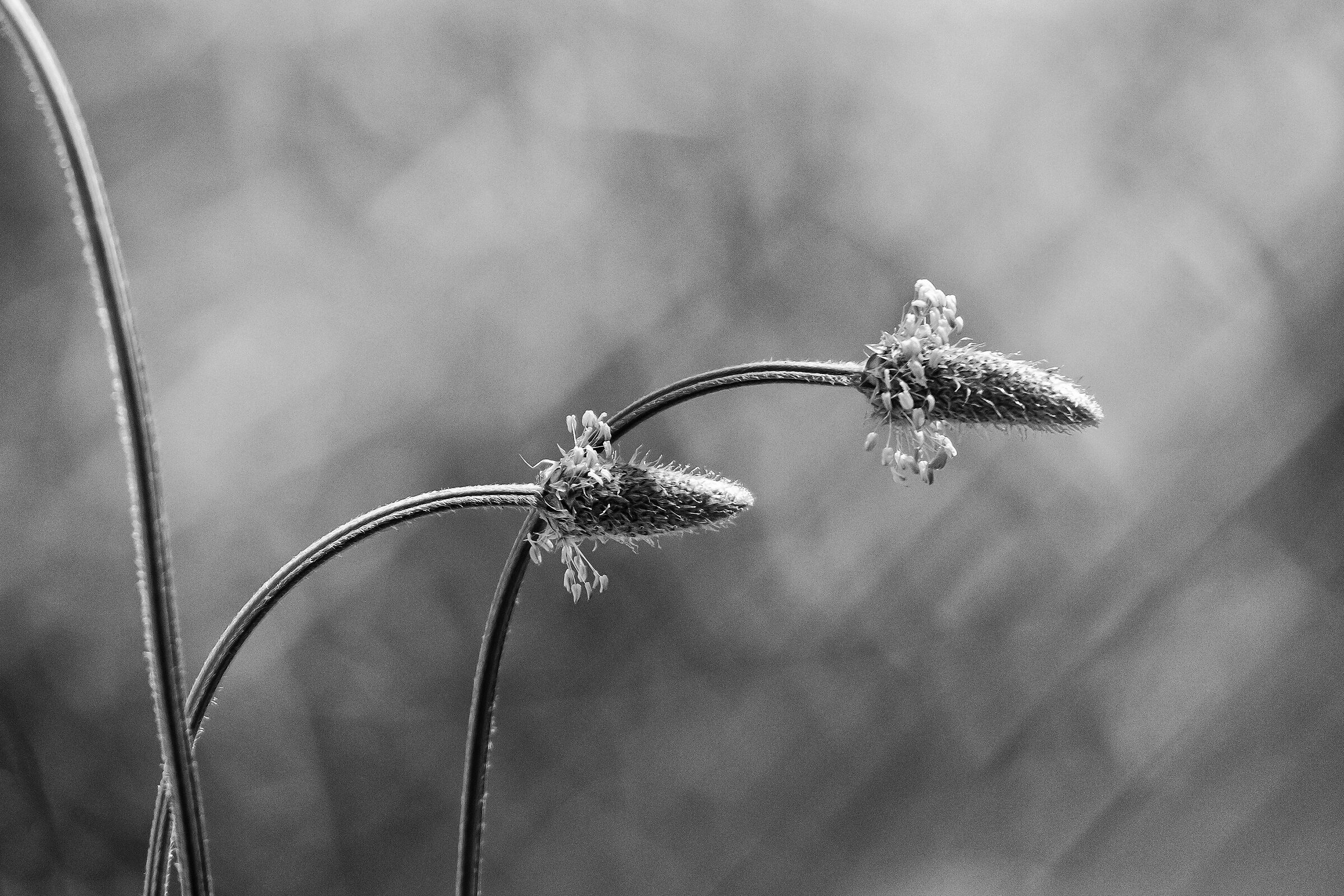 Simple Shapes-18... (4 photos)