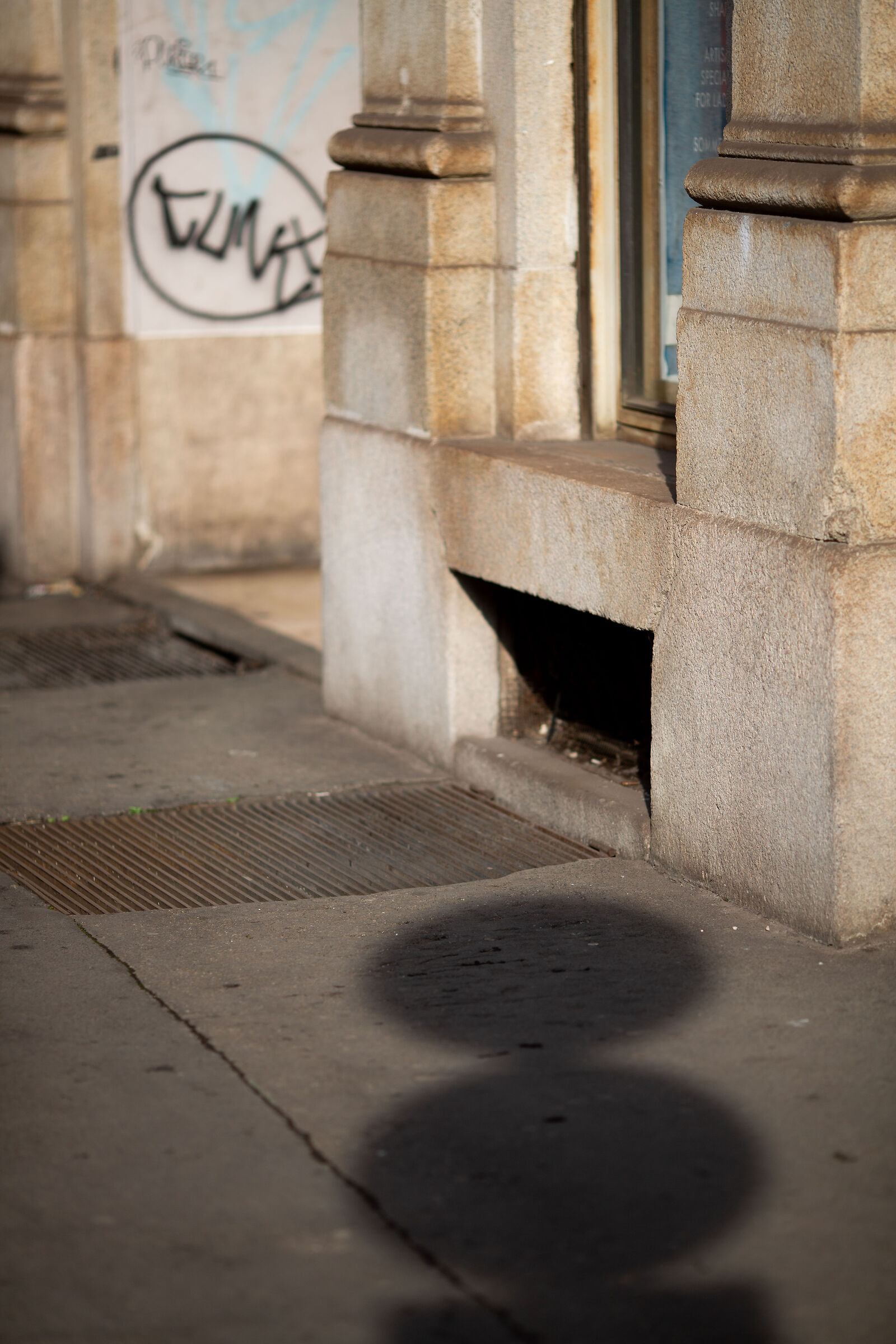 Untitled Photo
