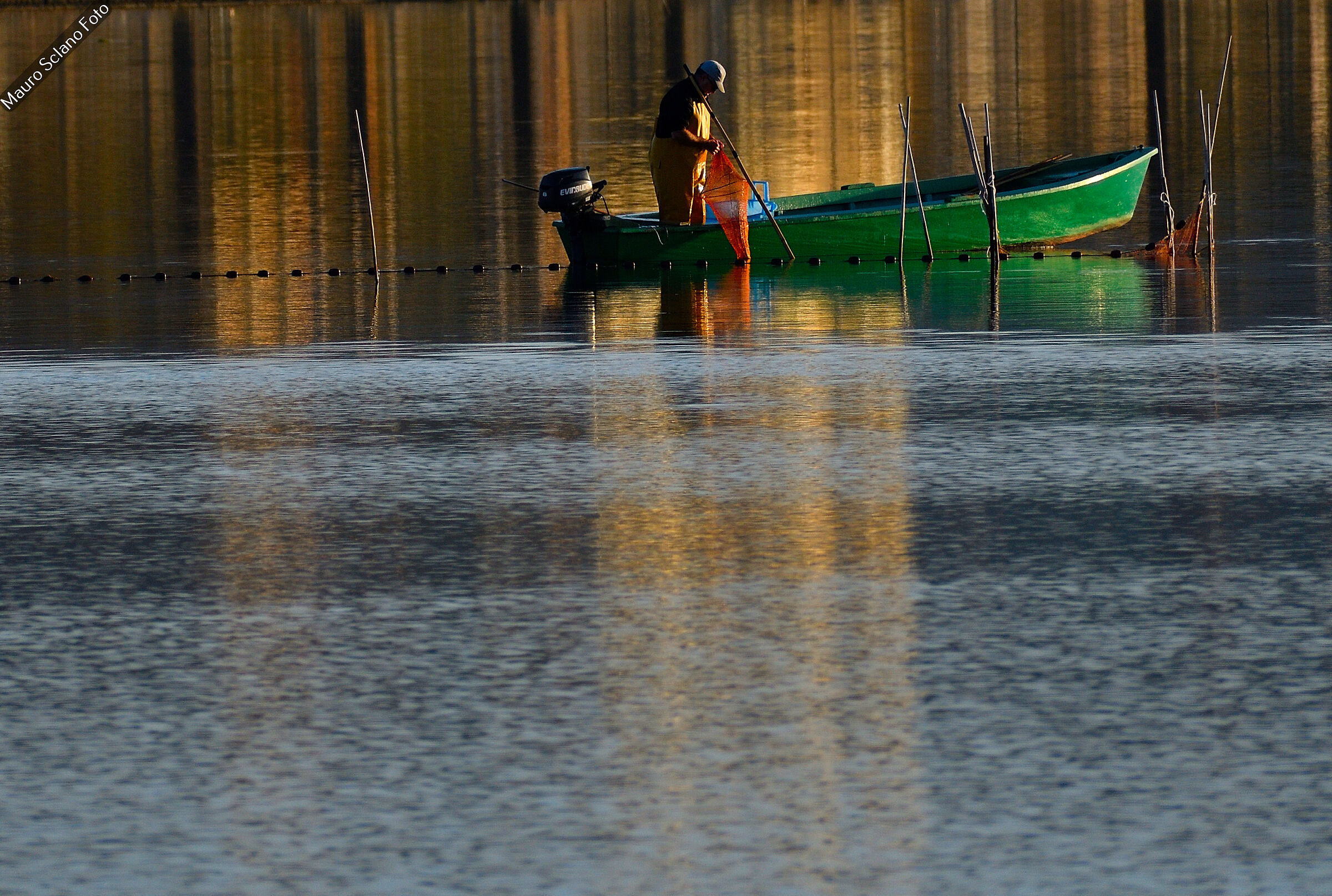 The fisherman of the lagoon