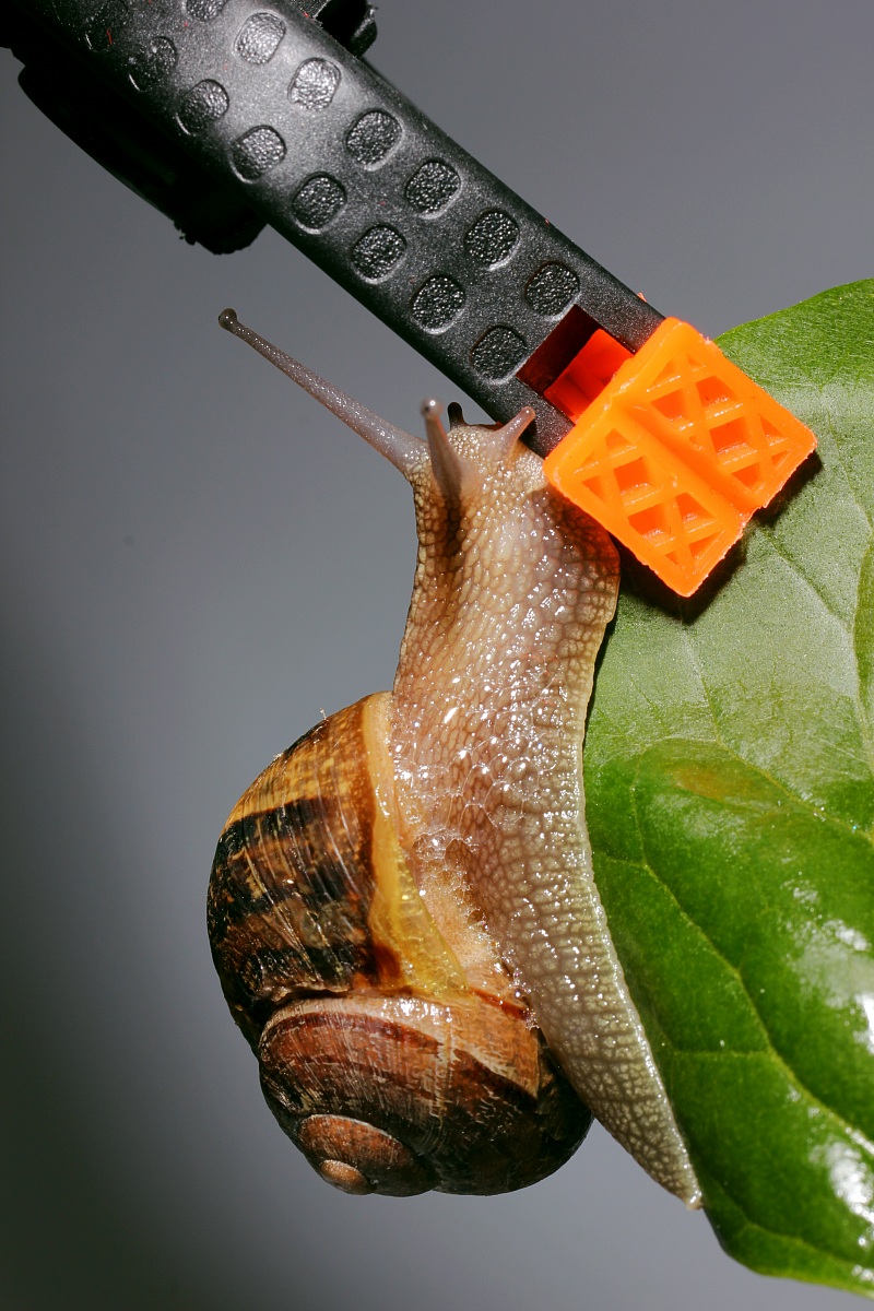 eos 550 D 1/200 av 16 iso 100