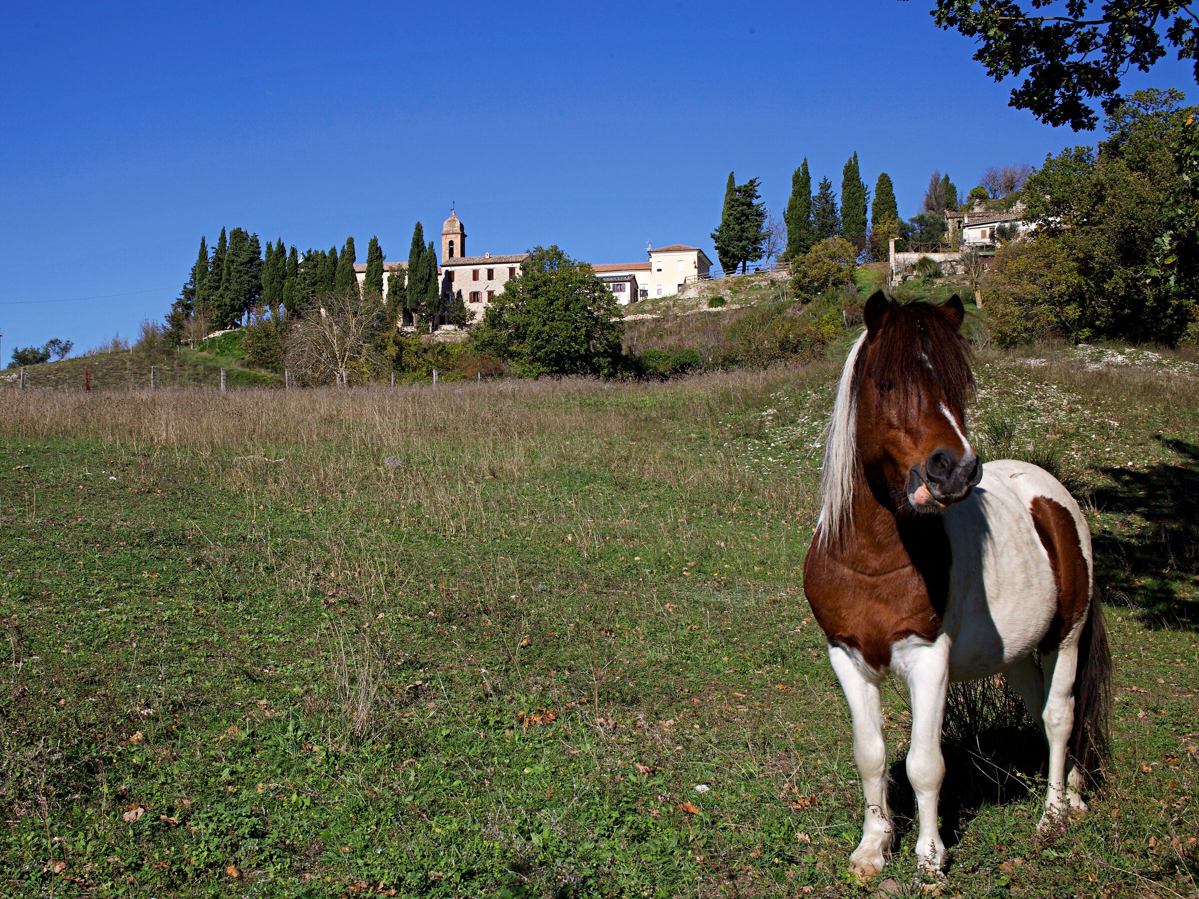 Aspettando la bella stagione