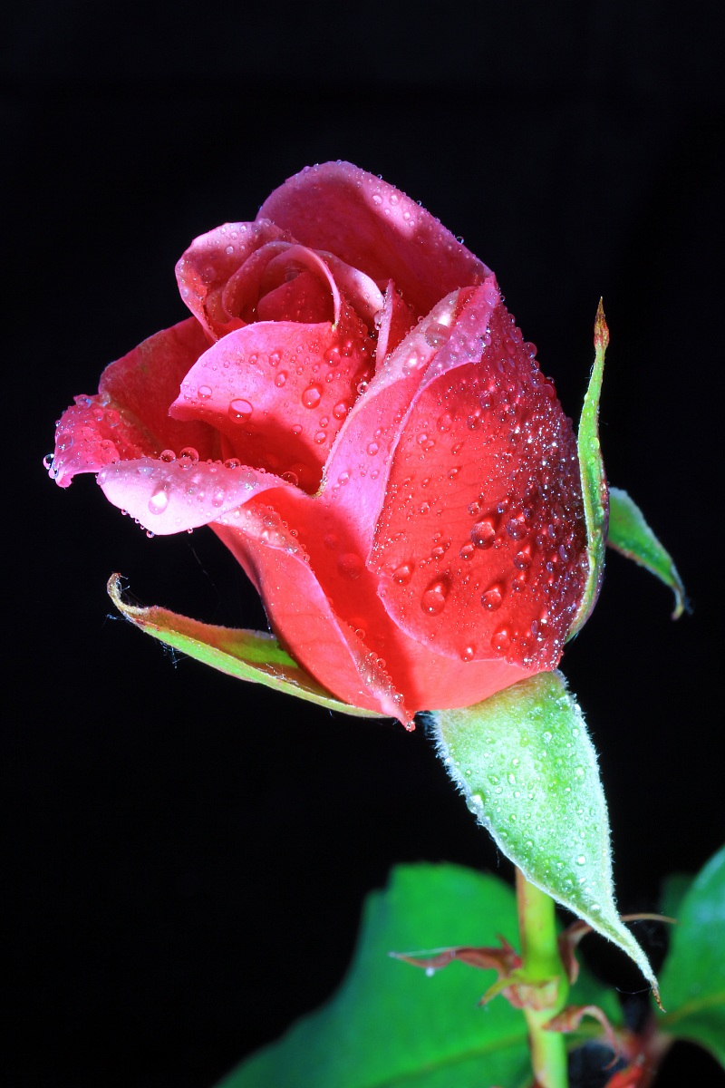 eos 550 D t 2 av 22 iso 100