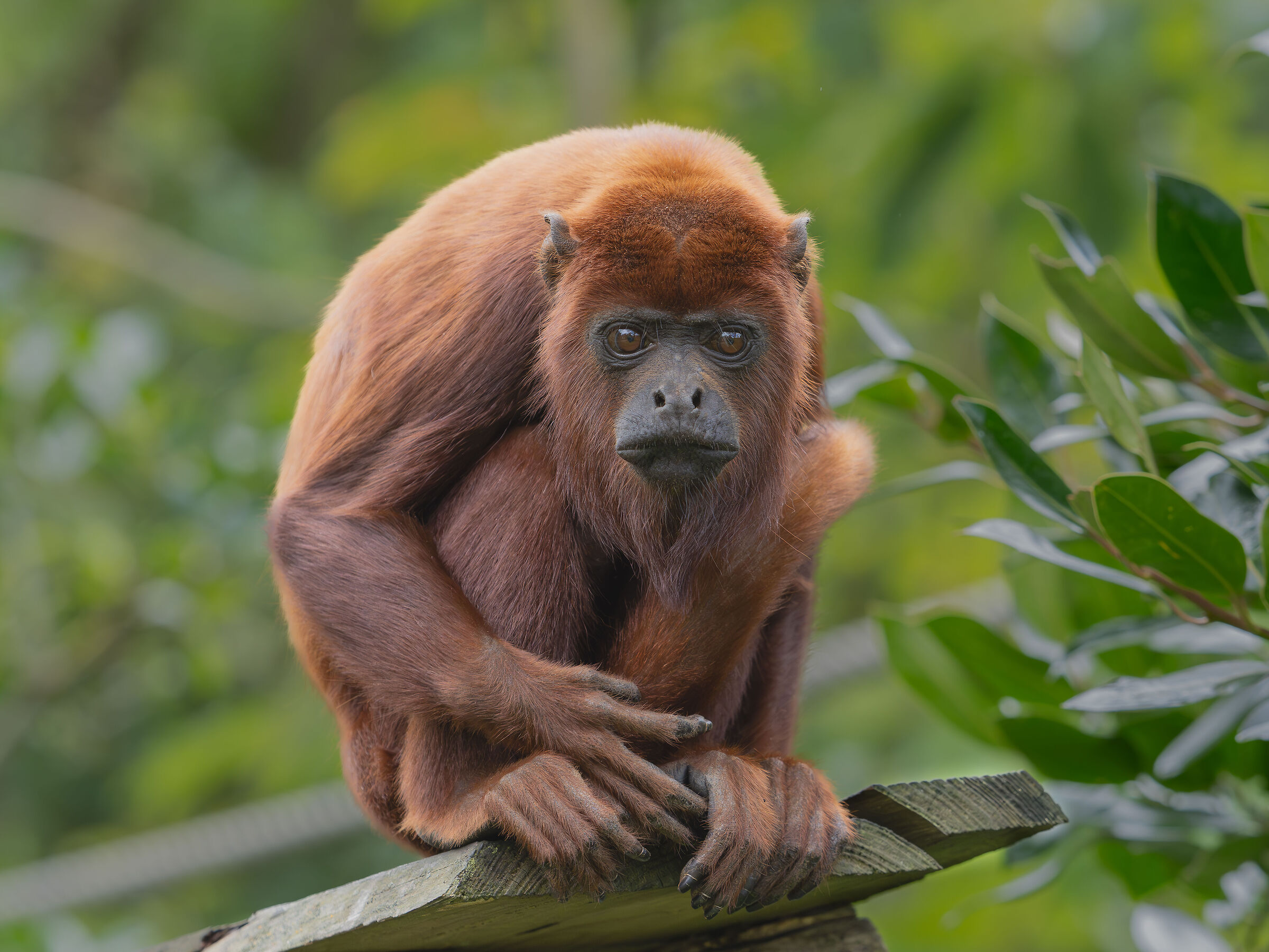 Fammi una bella foto!