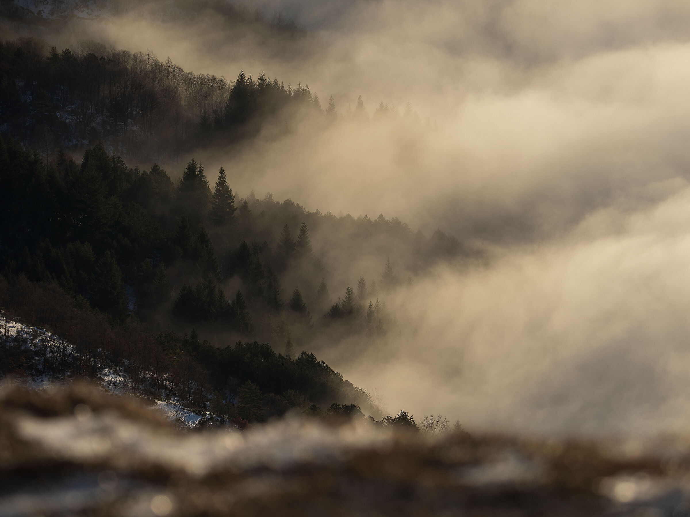 Castelluccio