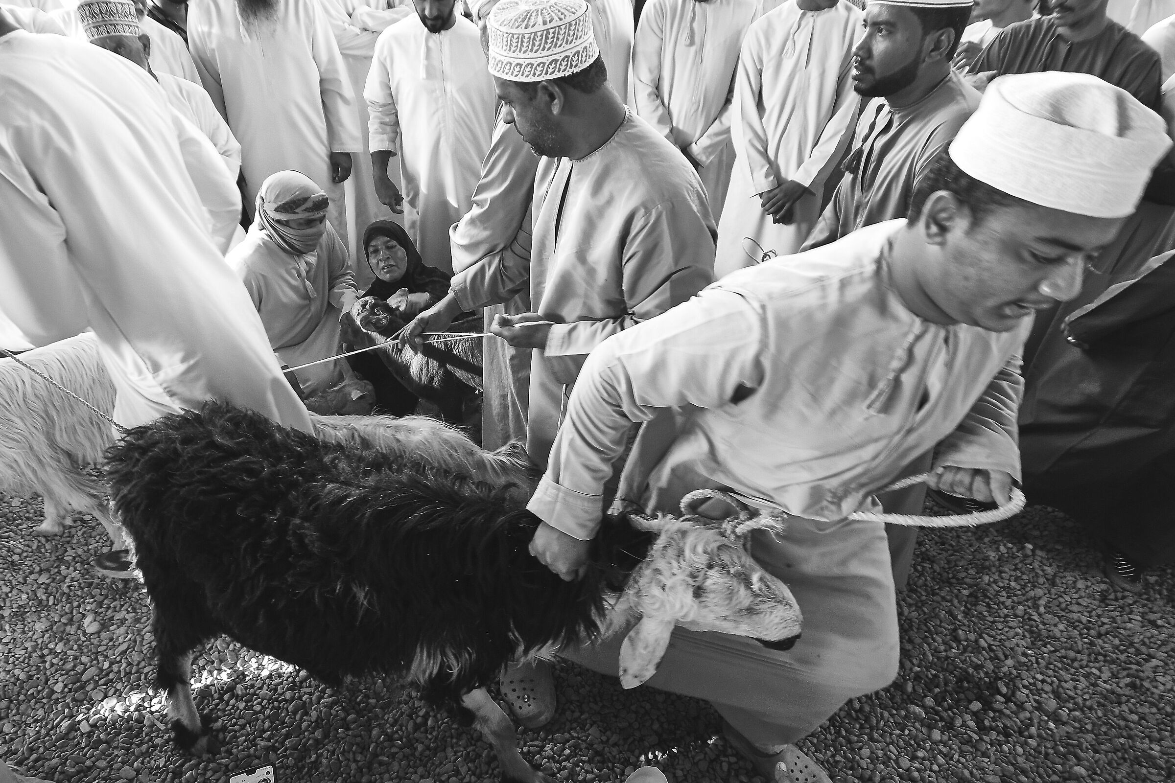 Nizwa Appearance at the goat market