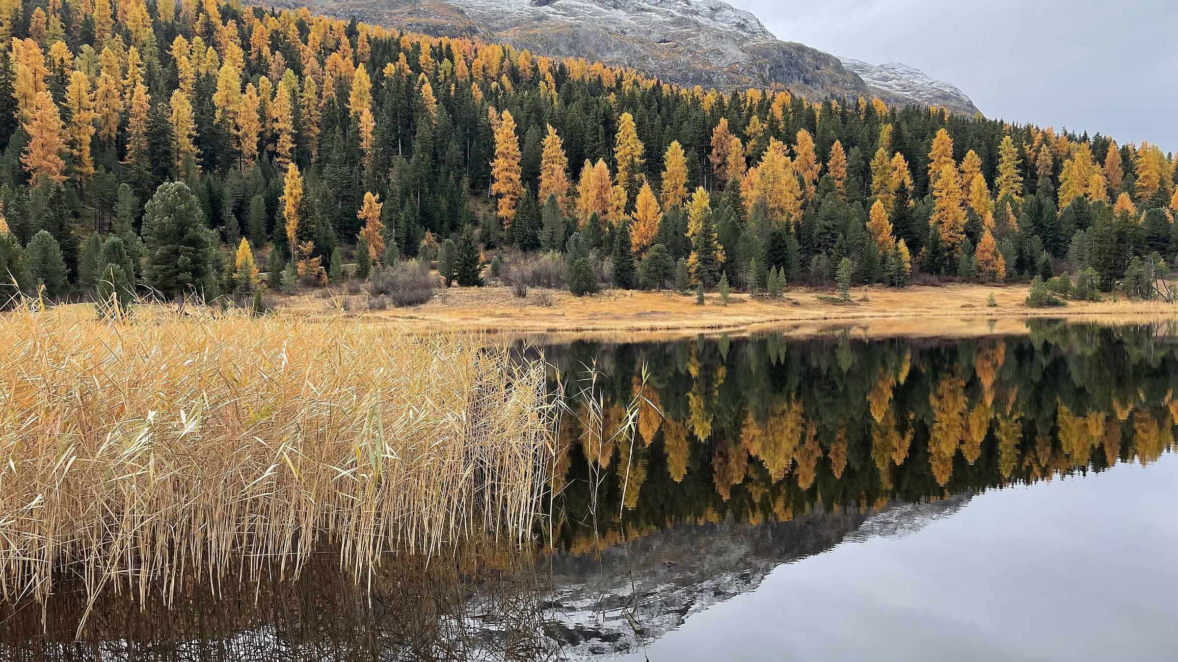 Autunno