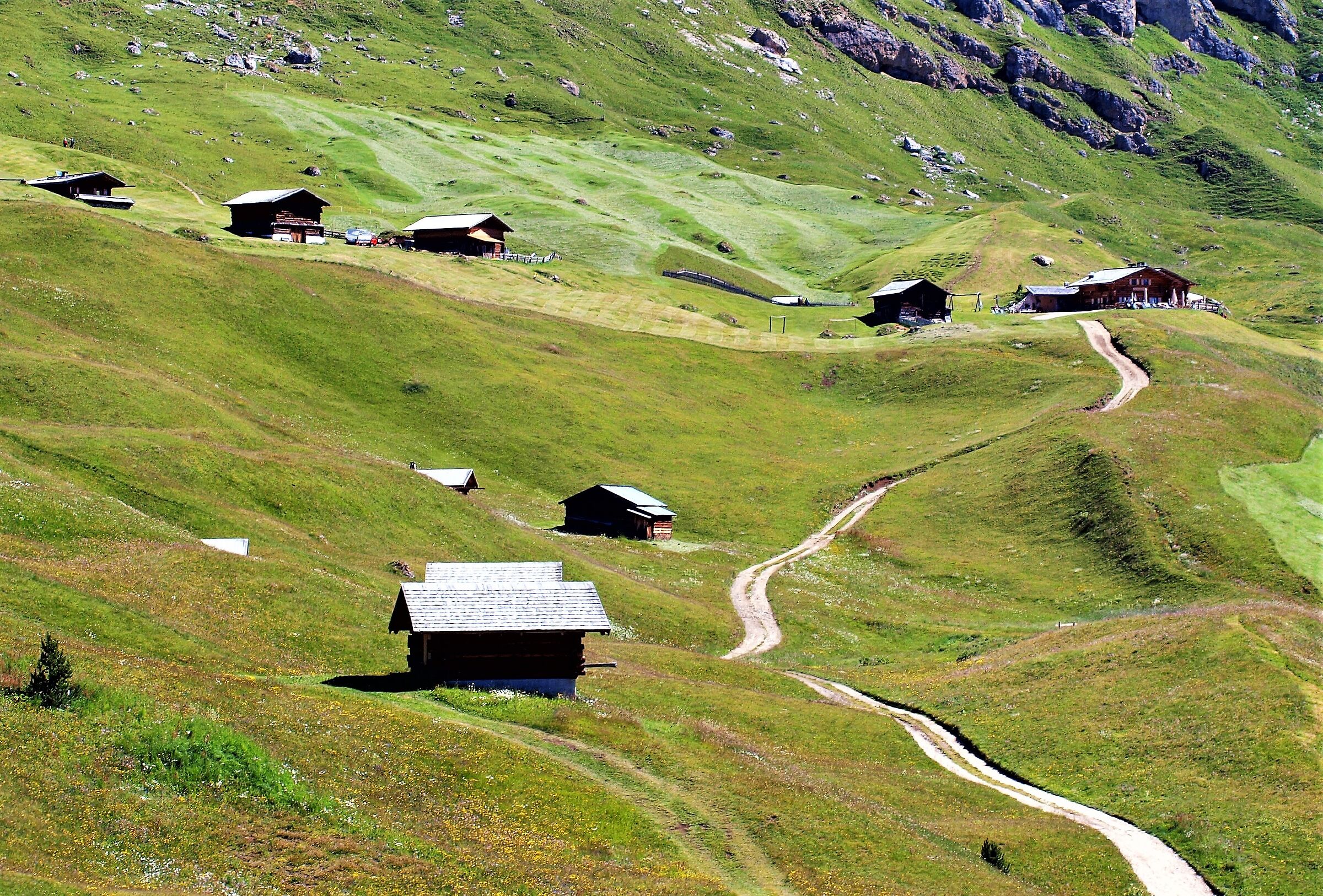 Alpe Rasciesa - val Gardena.