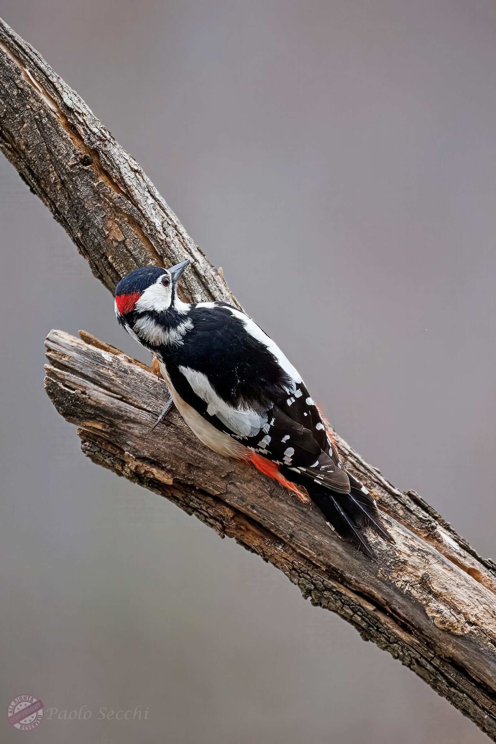 Caution is never too much