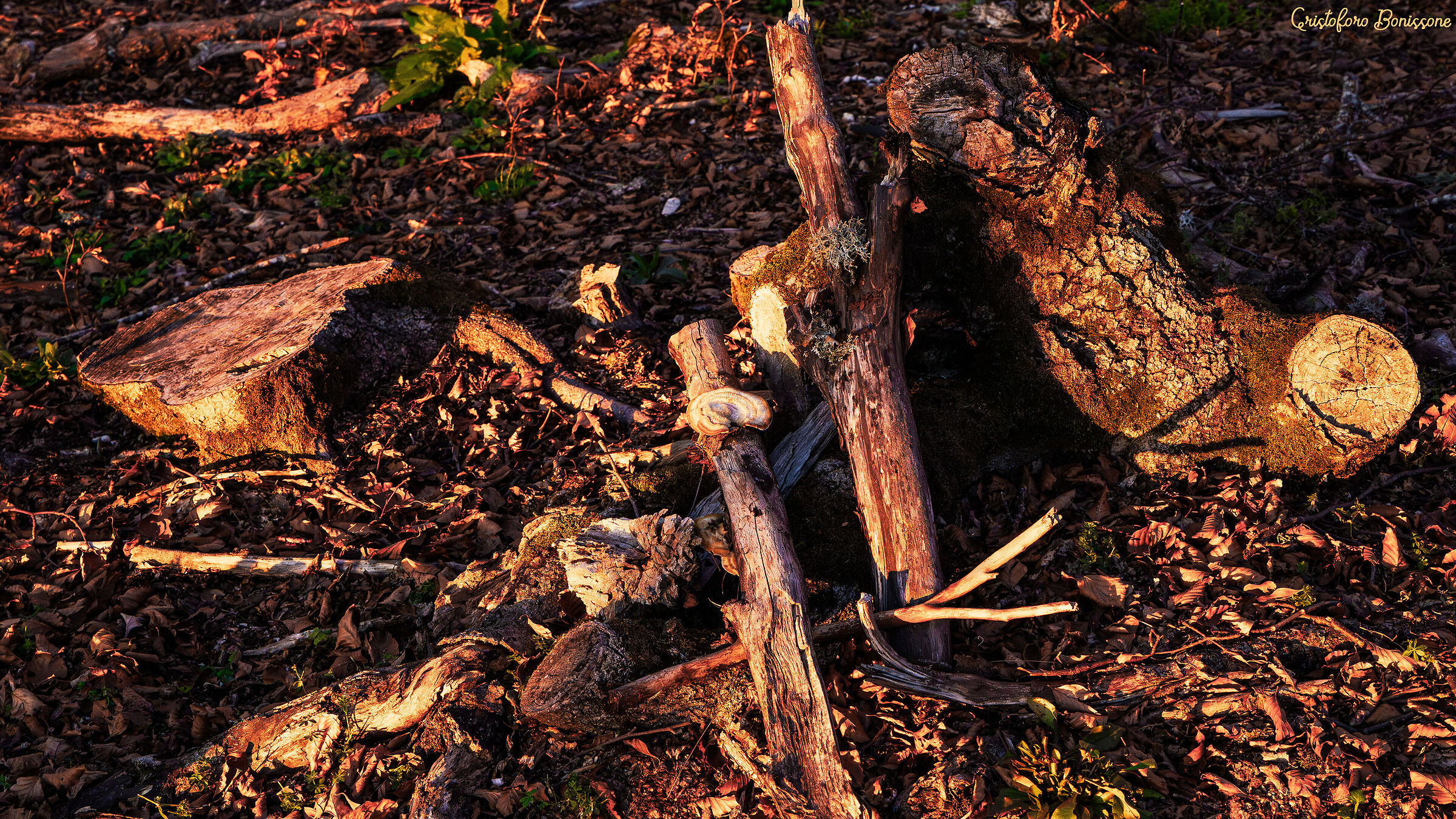 Fine Autunno Terminillo