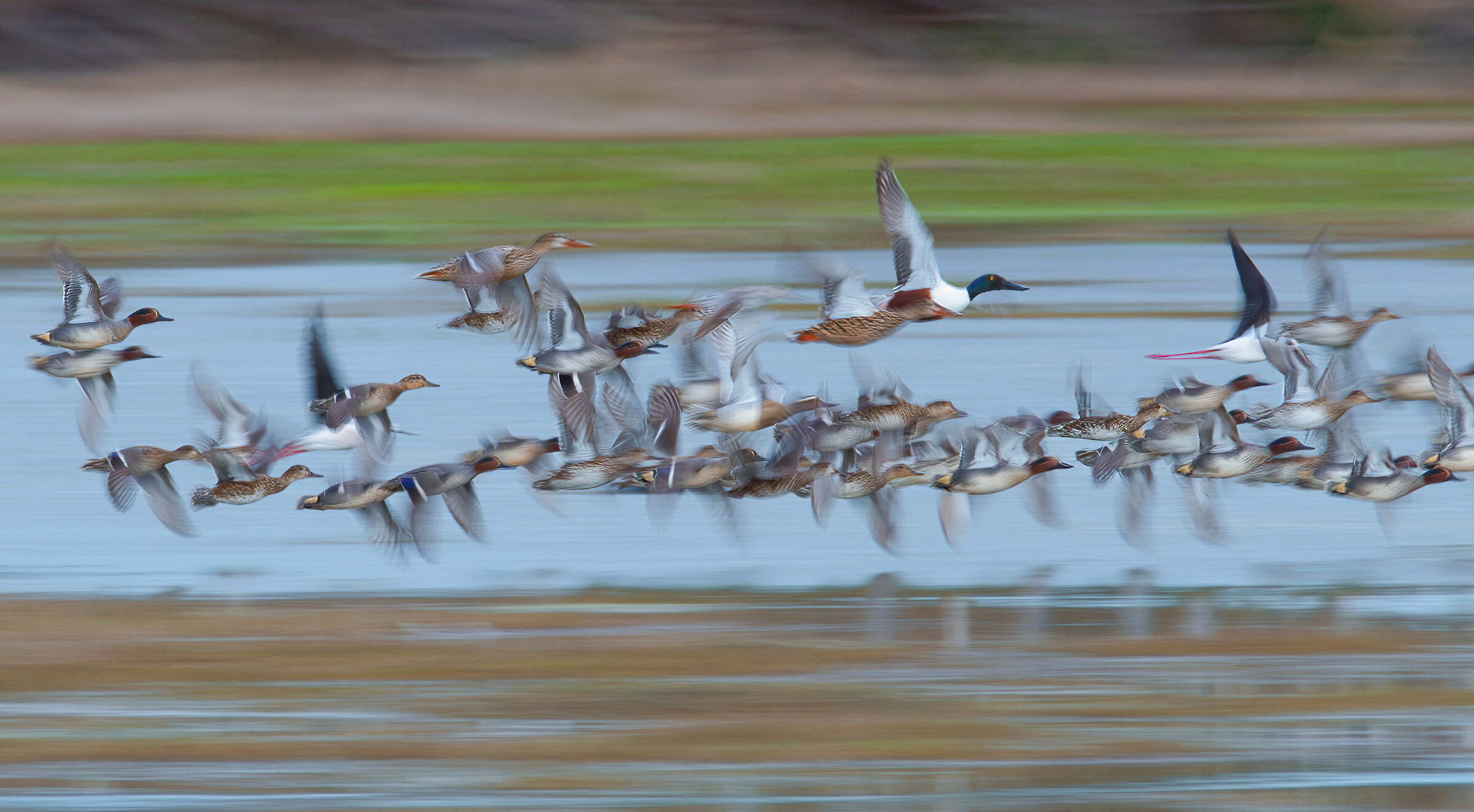 Poiana in vista...via!!