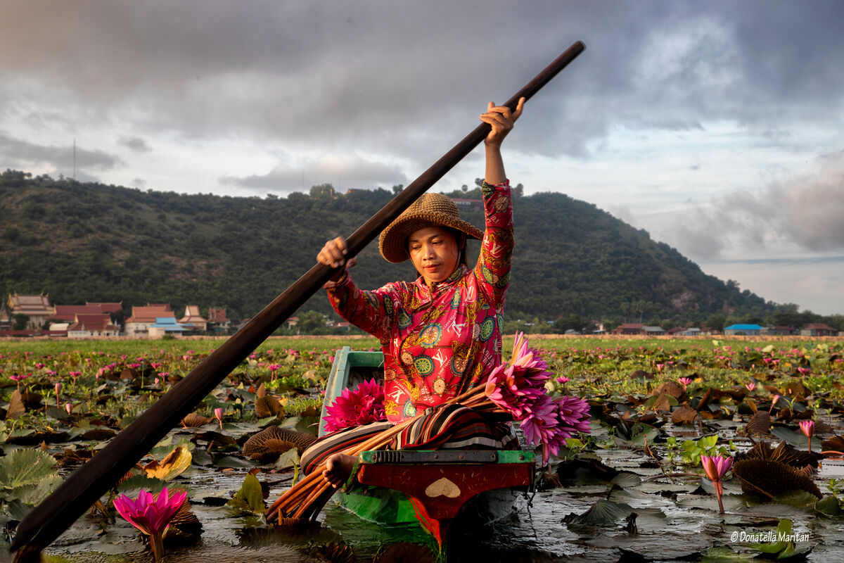 La raccolta dei fiori ***