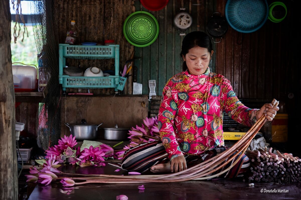 La raccolta dei fiori *****