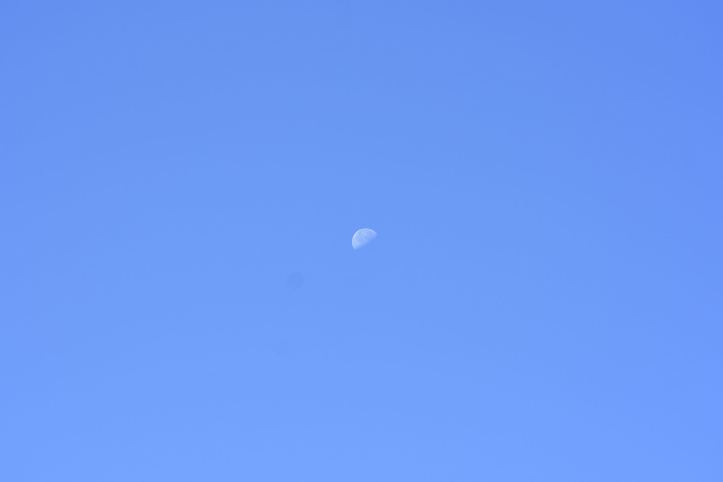 " Crop 150 " Tokina 100 F. 2.8 Atx- i - Nikon D 7200