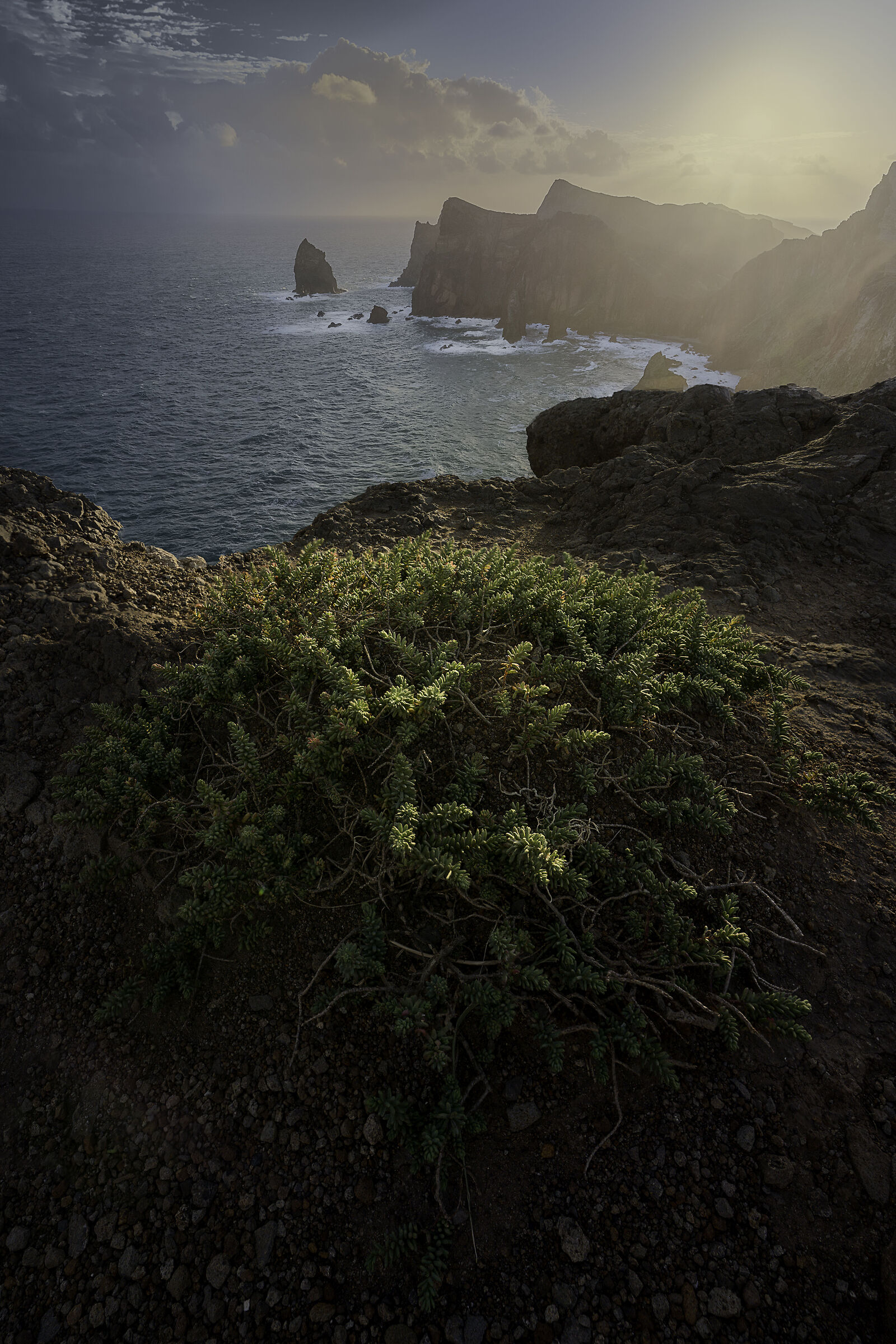 Il respiro dell'Oceano