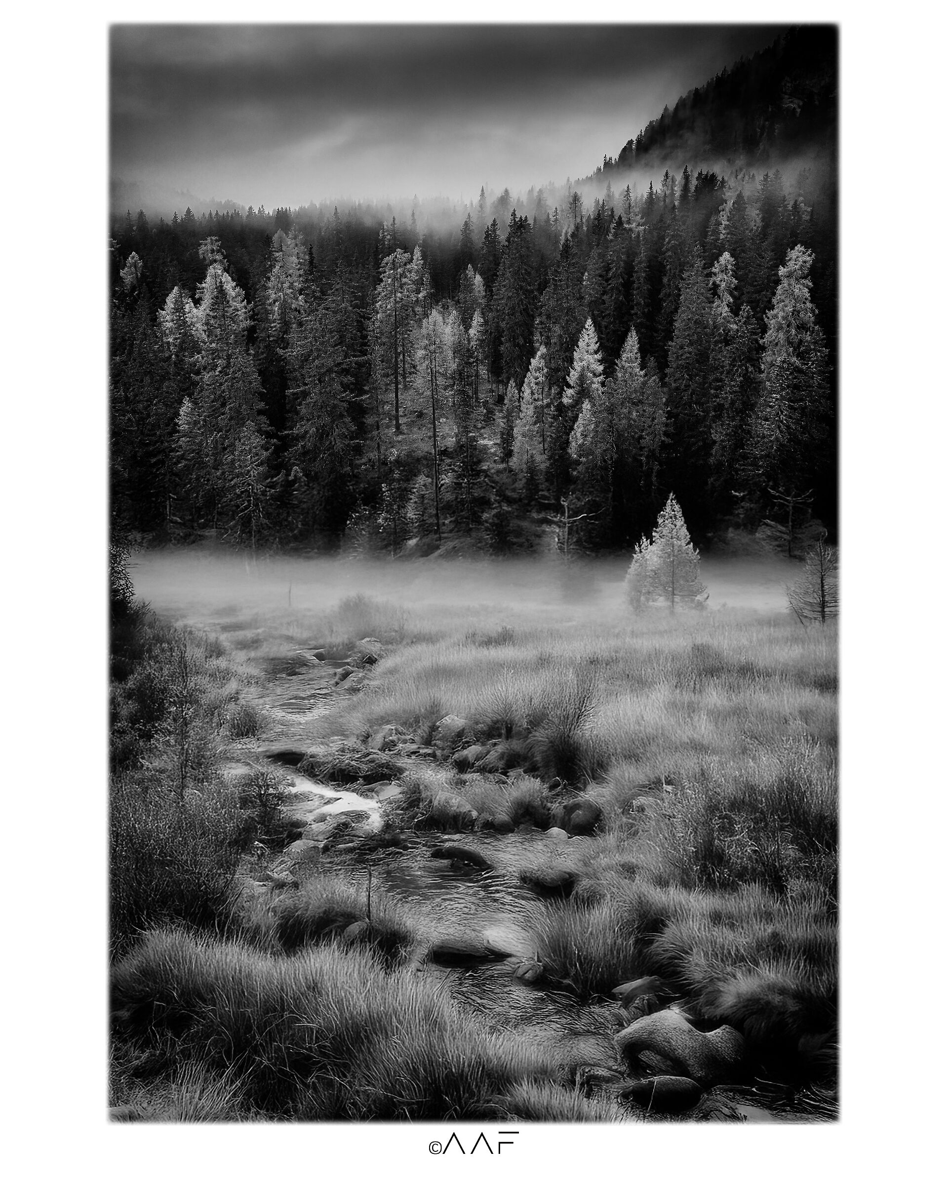 Altopiano di Asiago 2022