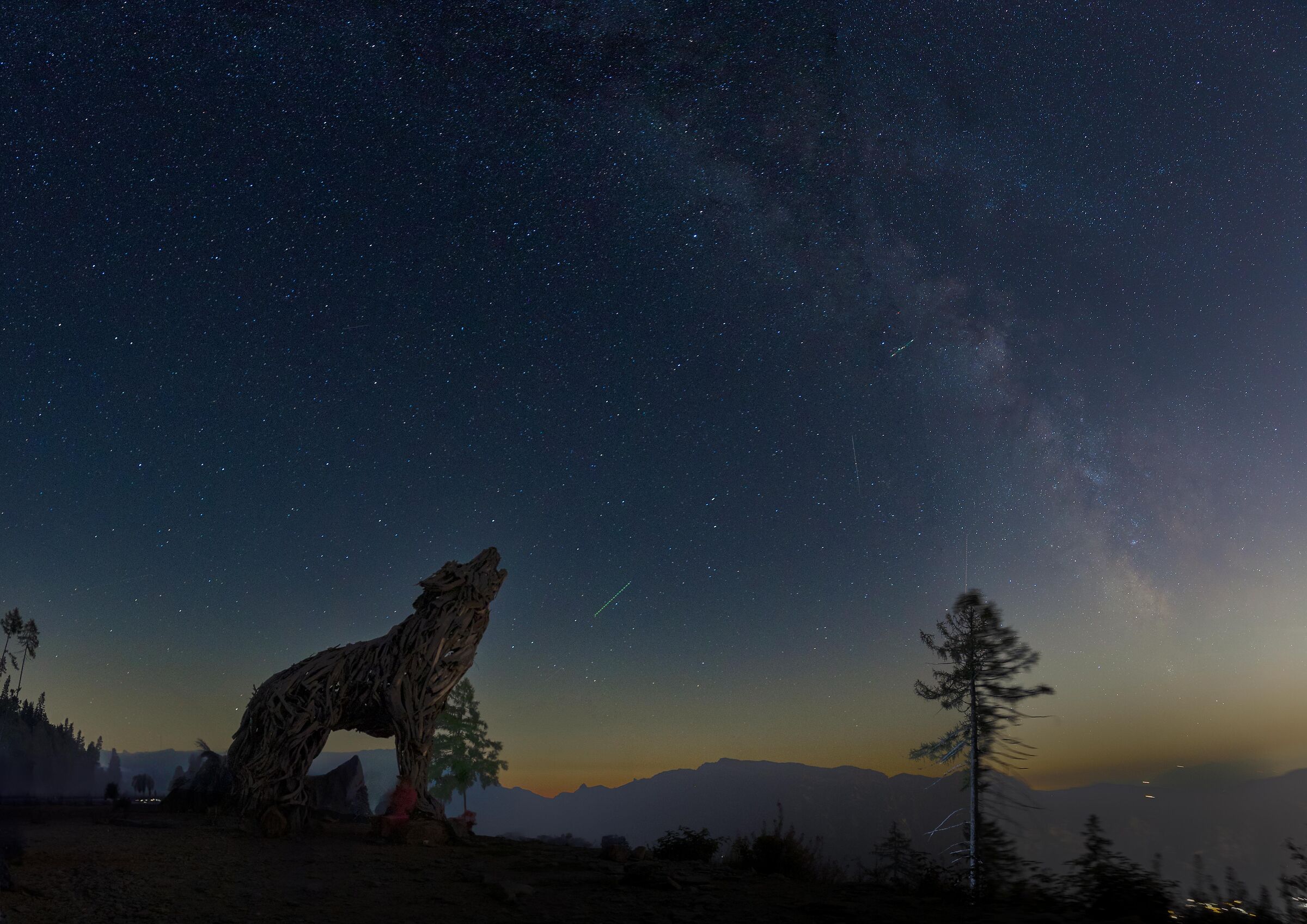 The She-Wolf and the Stars