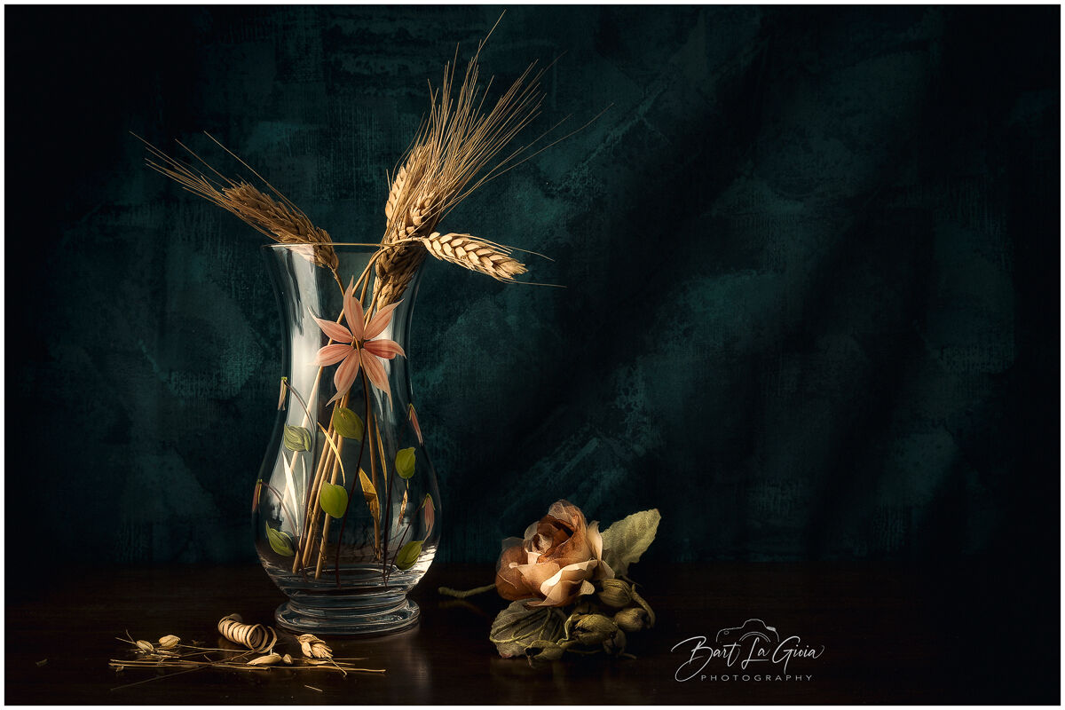 Untitled Photo