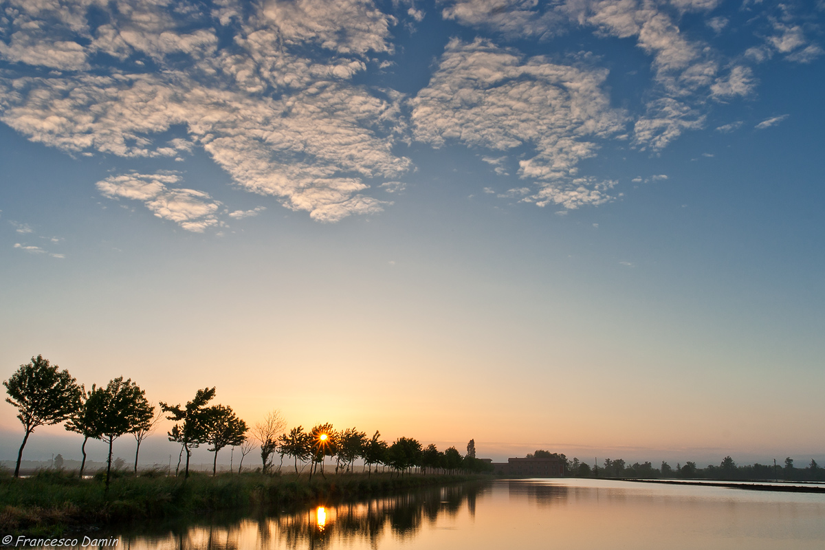 Il sole spunta tra gli alberi