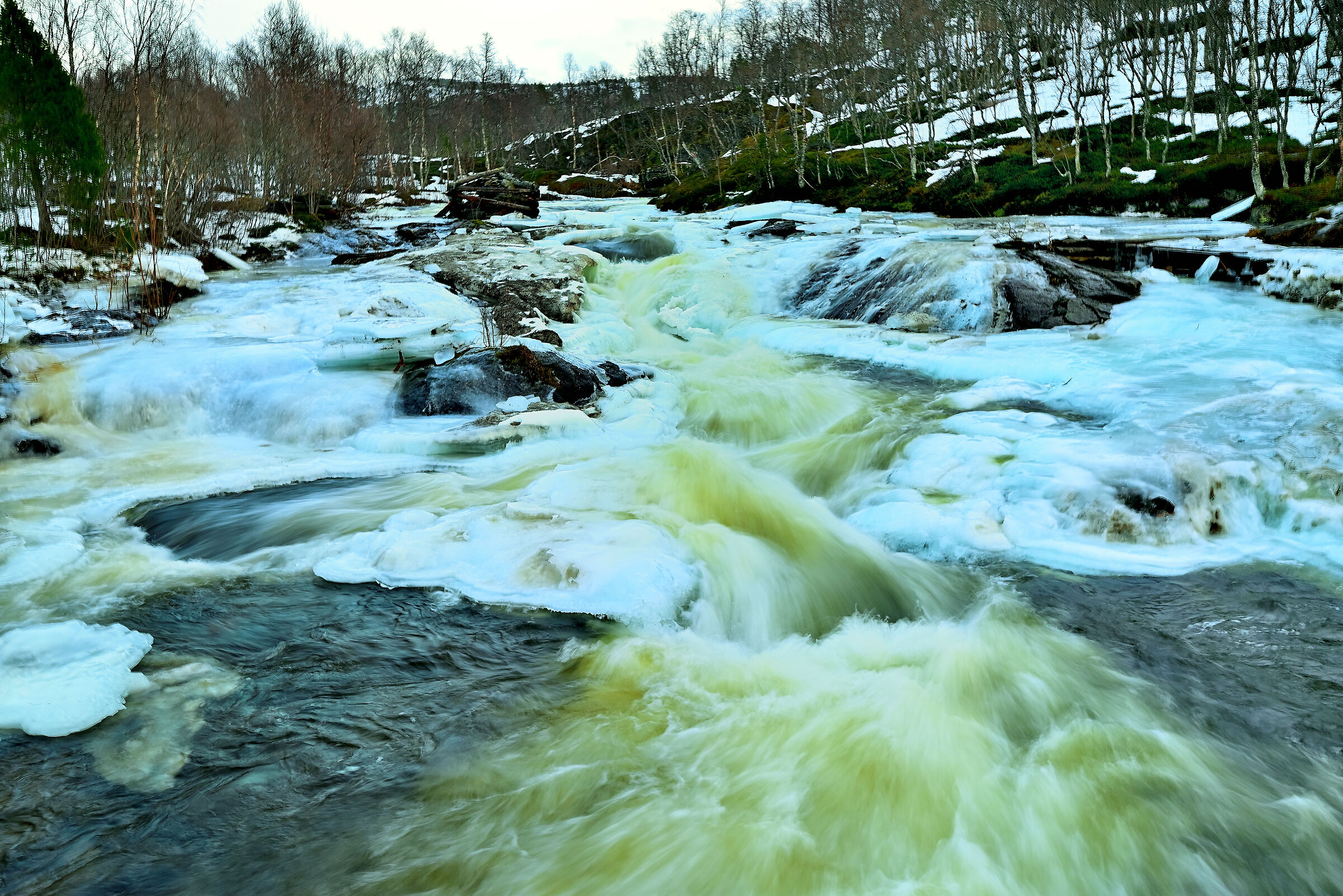 Scioglimento della neve intrappolata nel ghiaccio