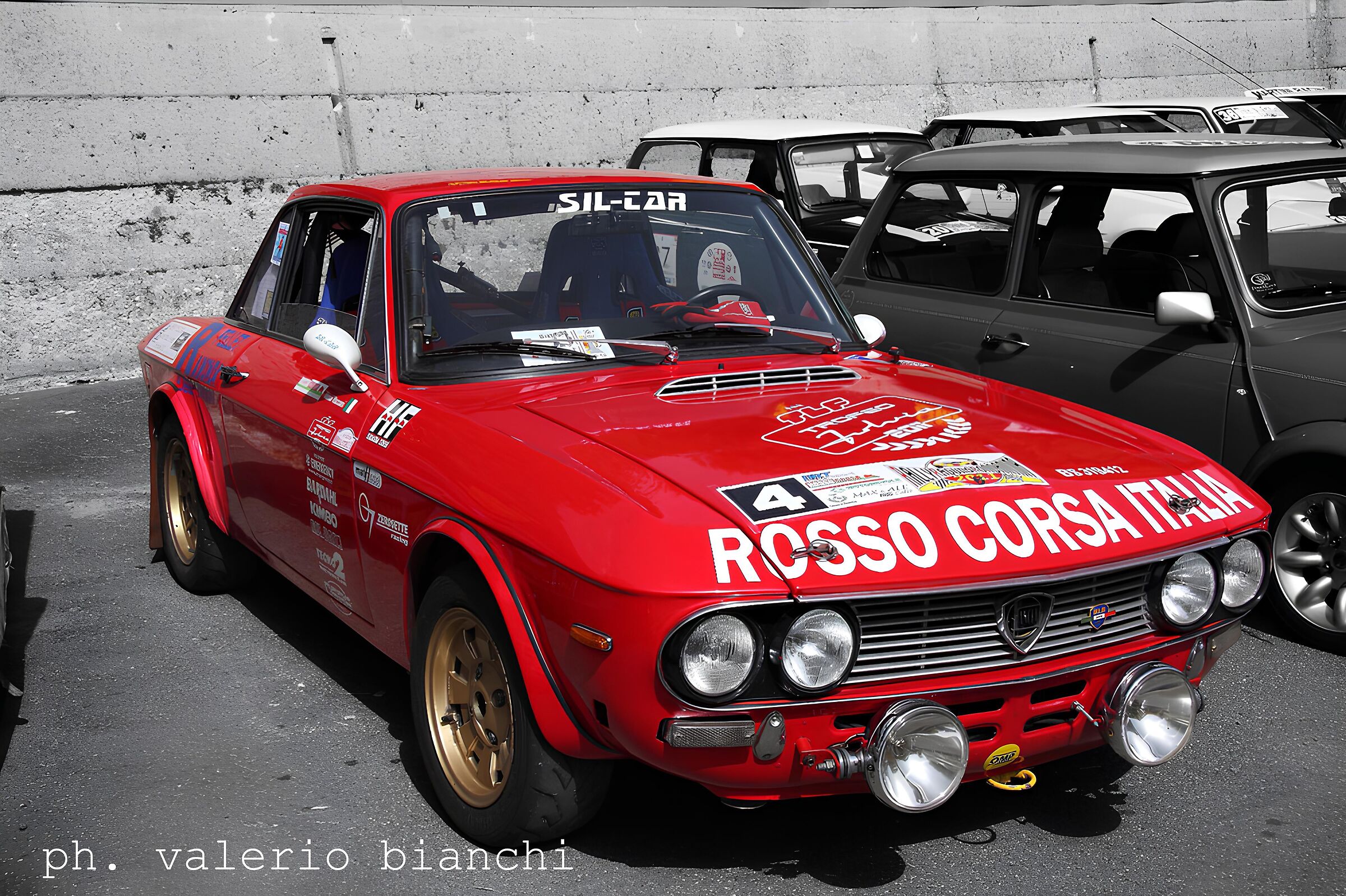 Rosso Fulvia