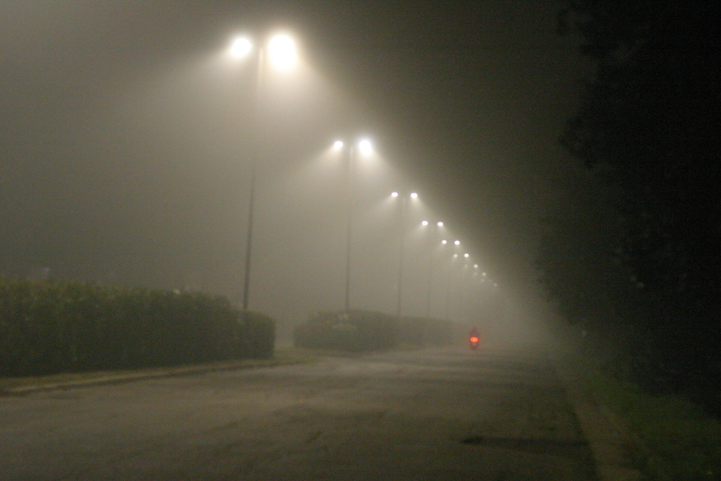viale surreale