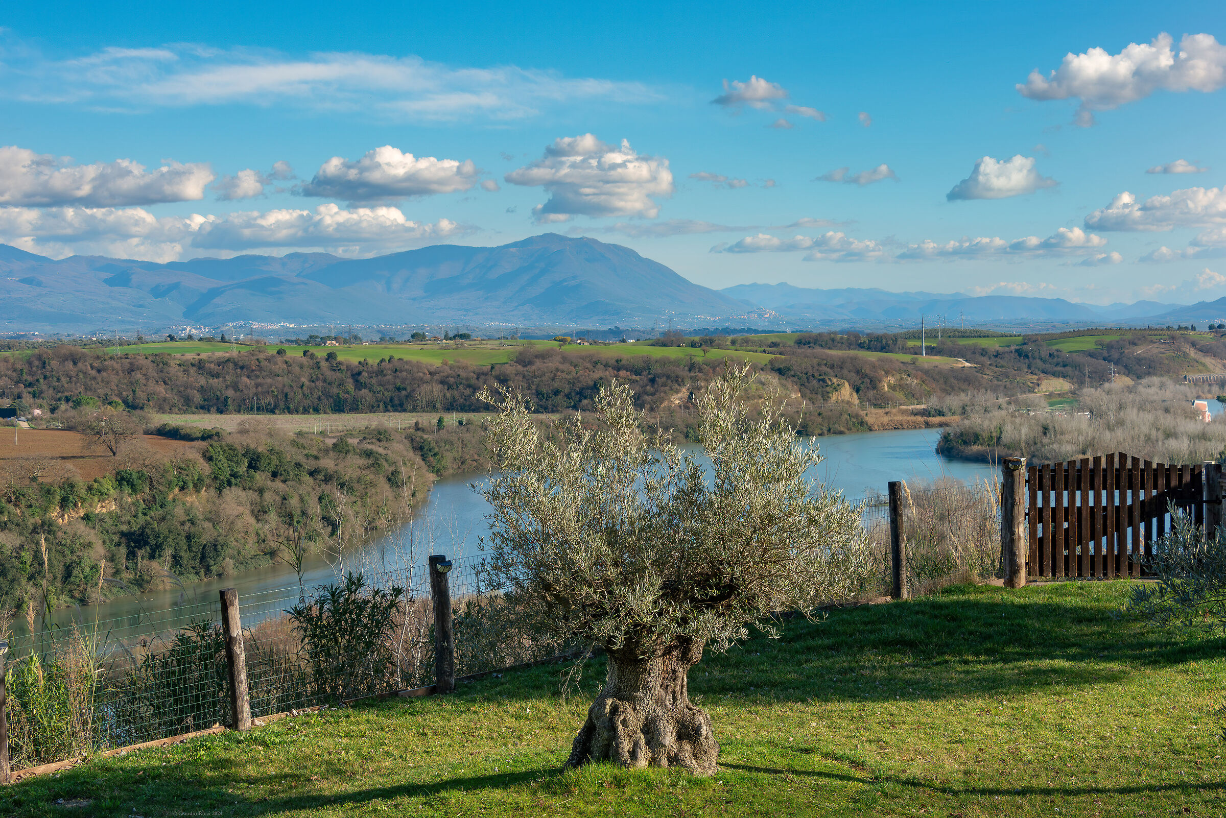 The World of Olivetto