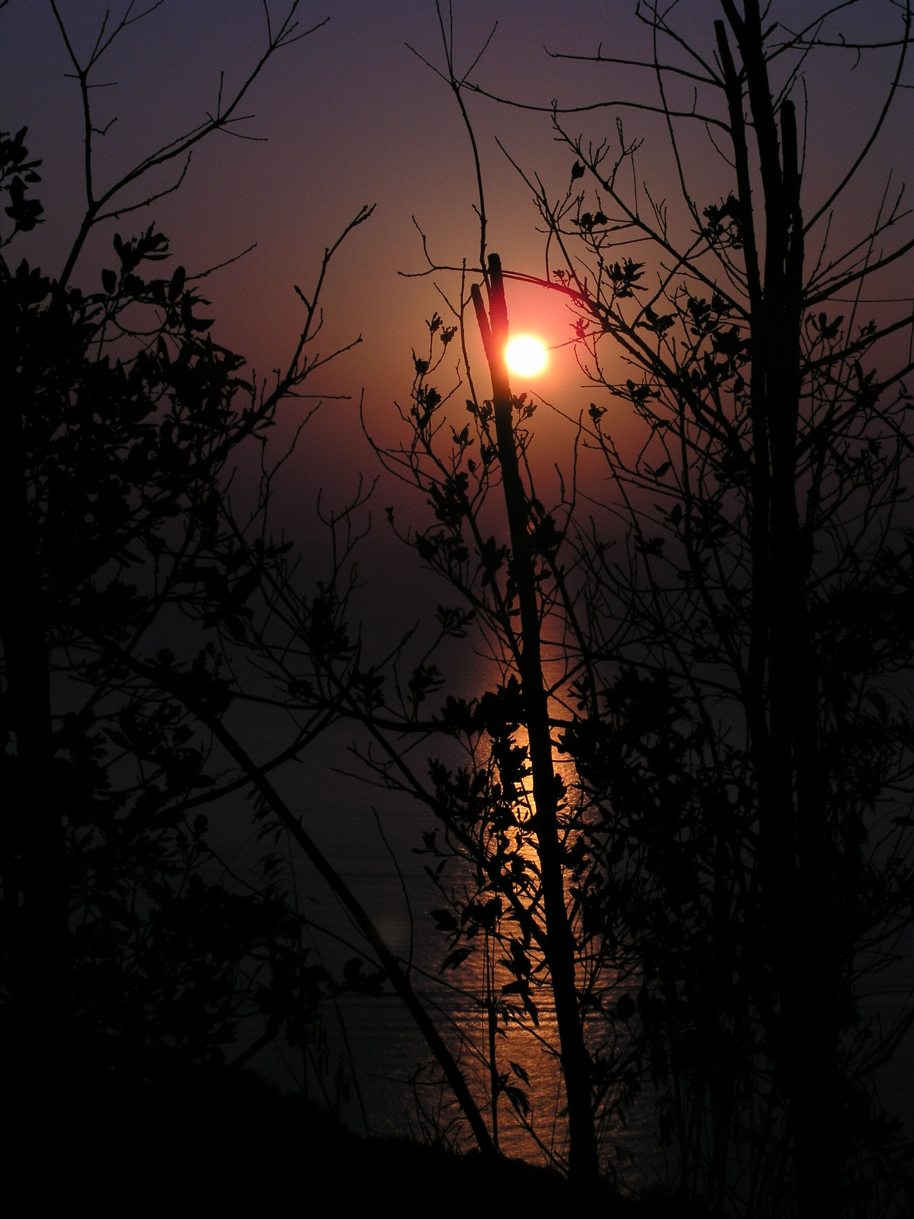 dawn