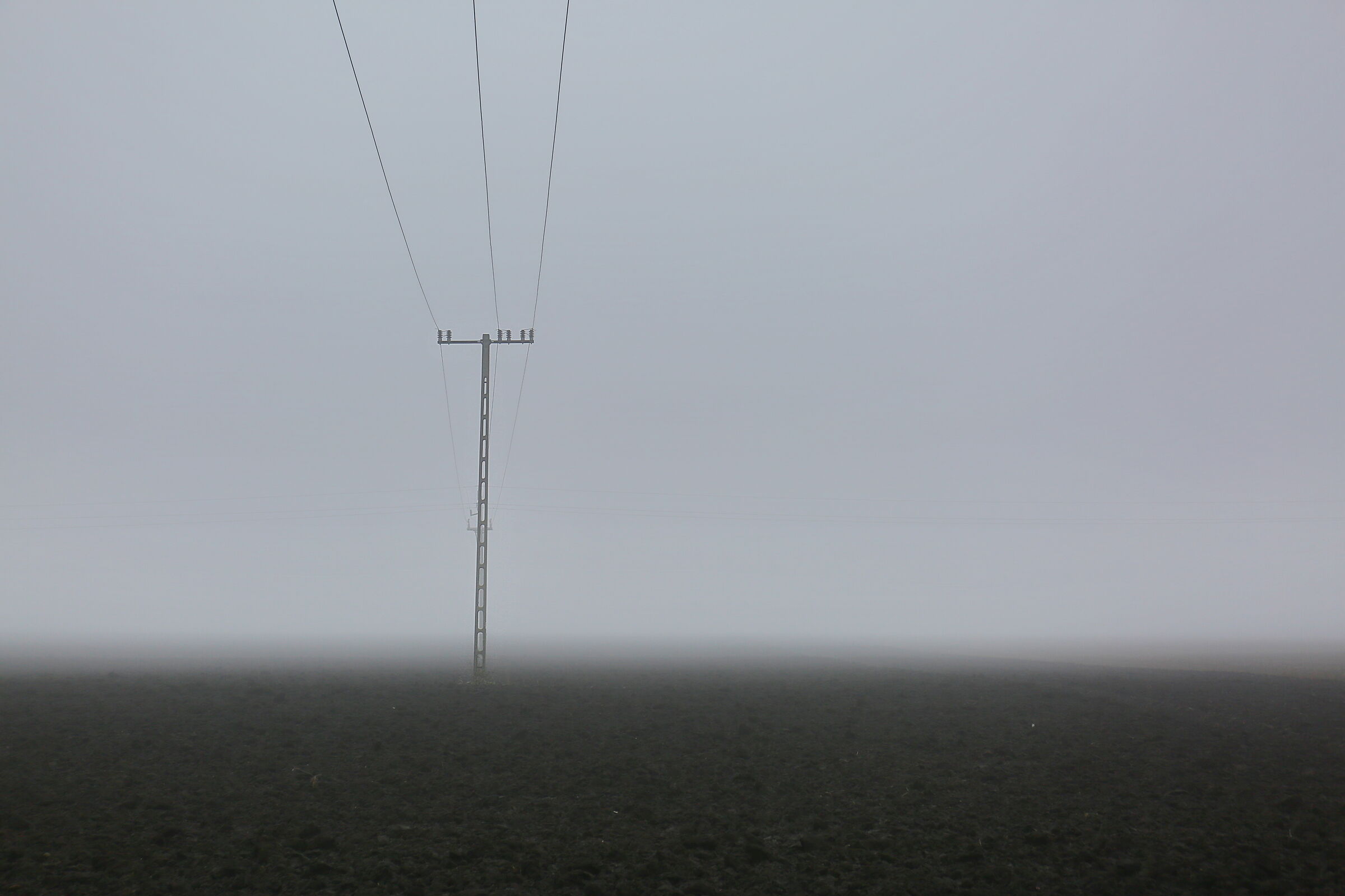 Pole in the fog