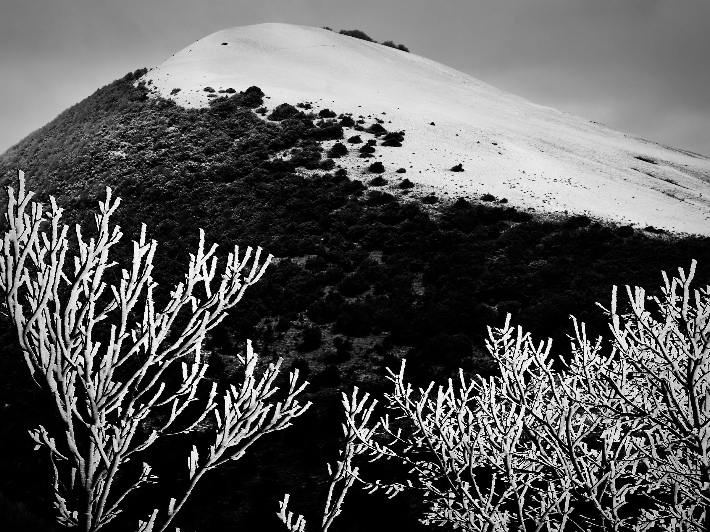 After the wizard has passed