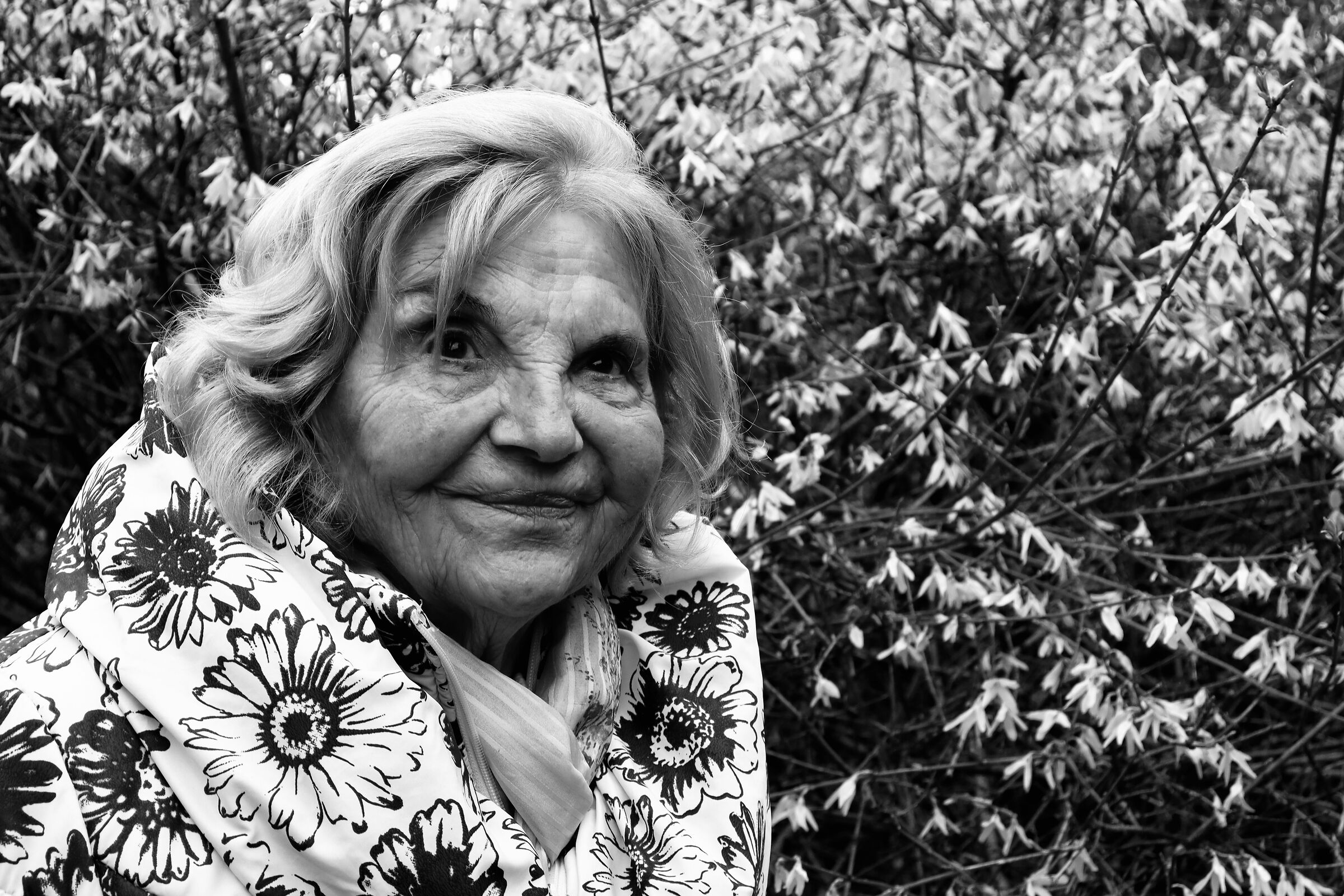 Dalla nonna