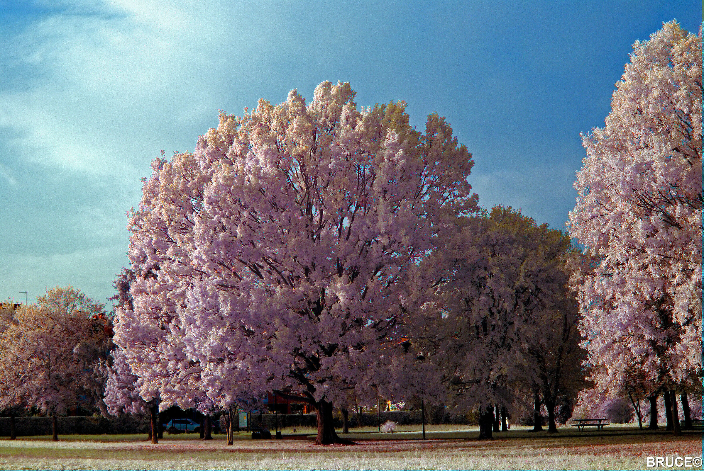 IR720nm filter
