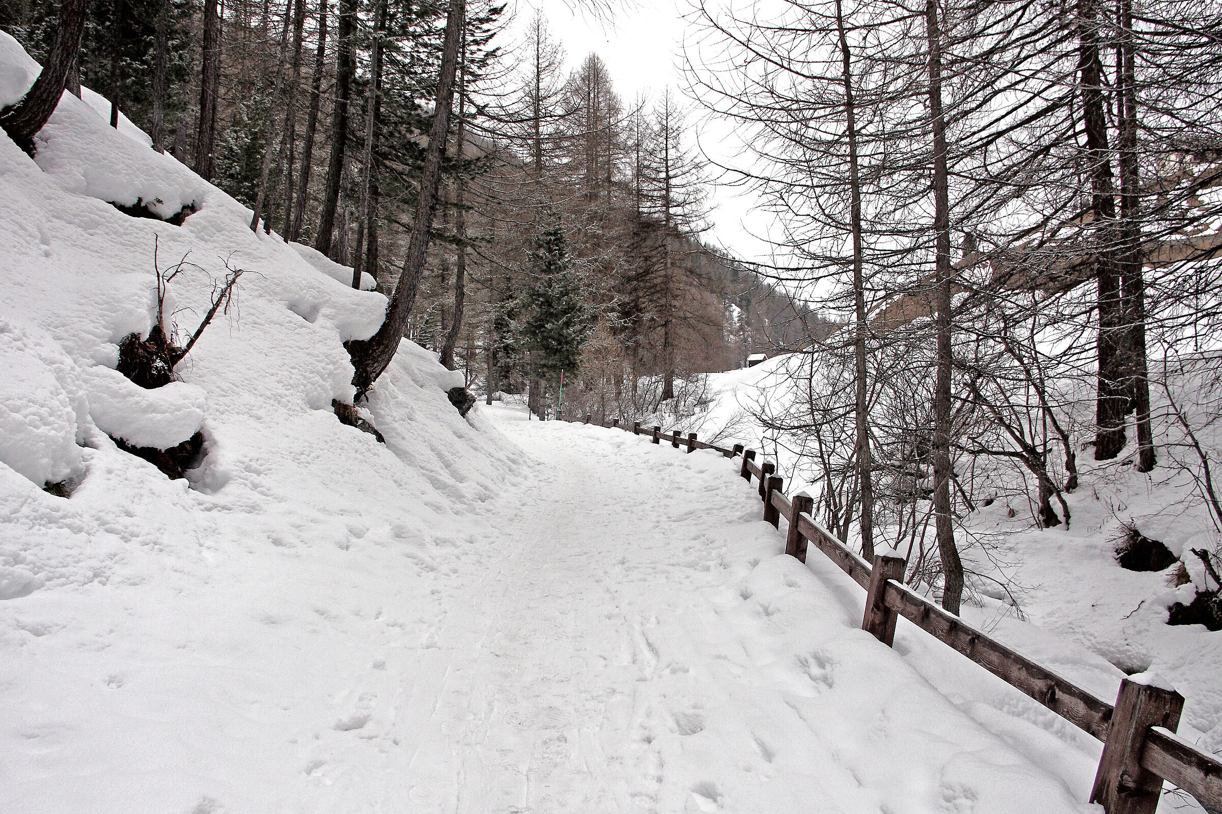 come è difficile fotografare la neve