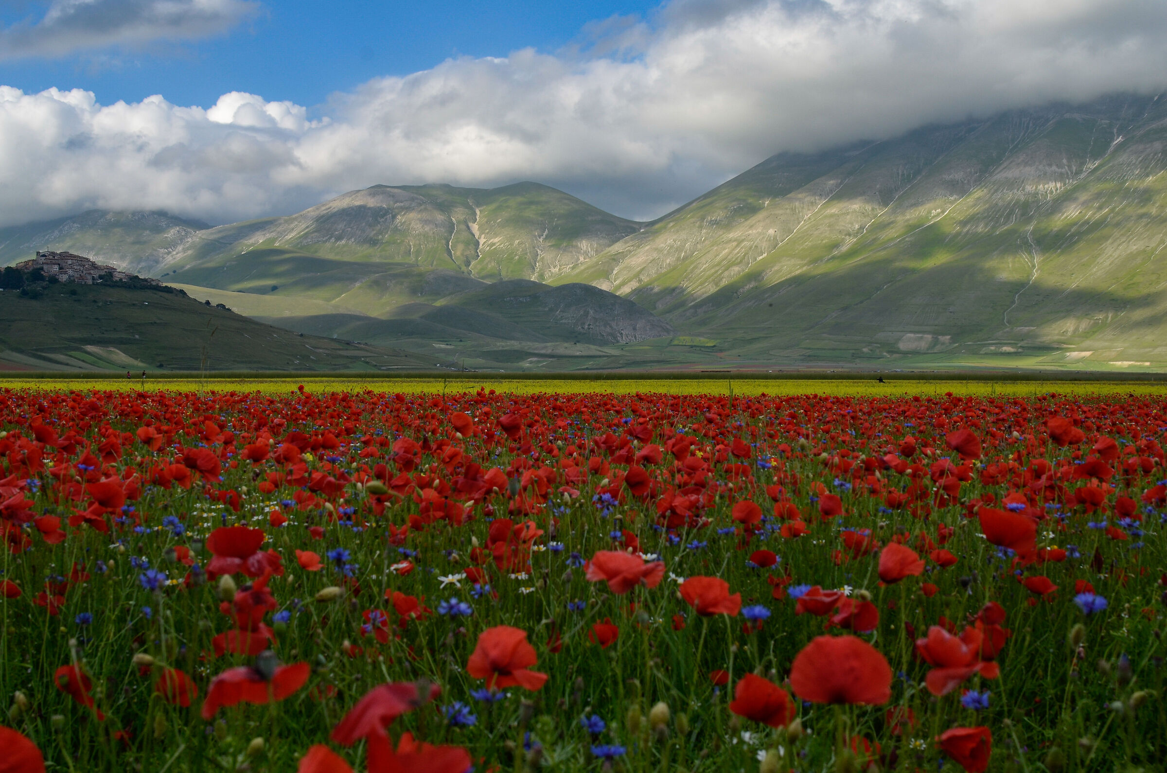 Castelluccio