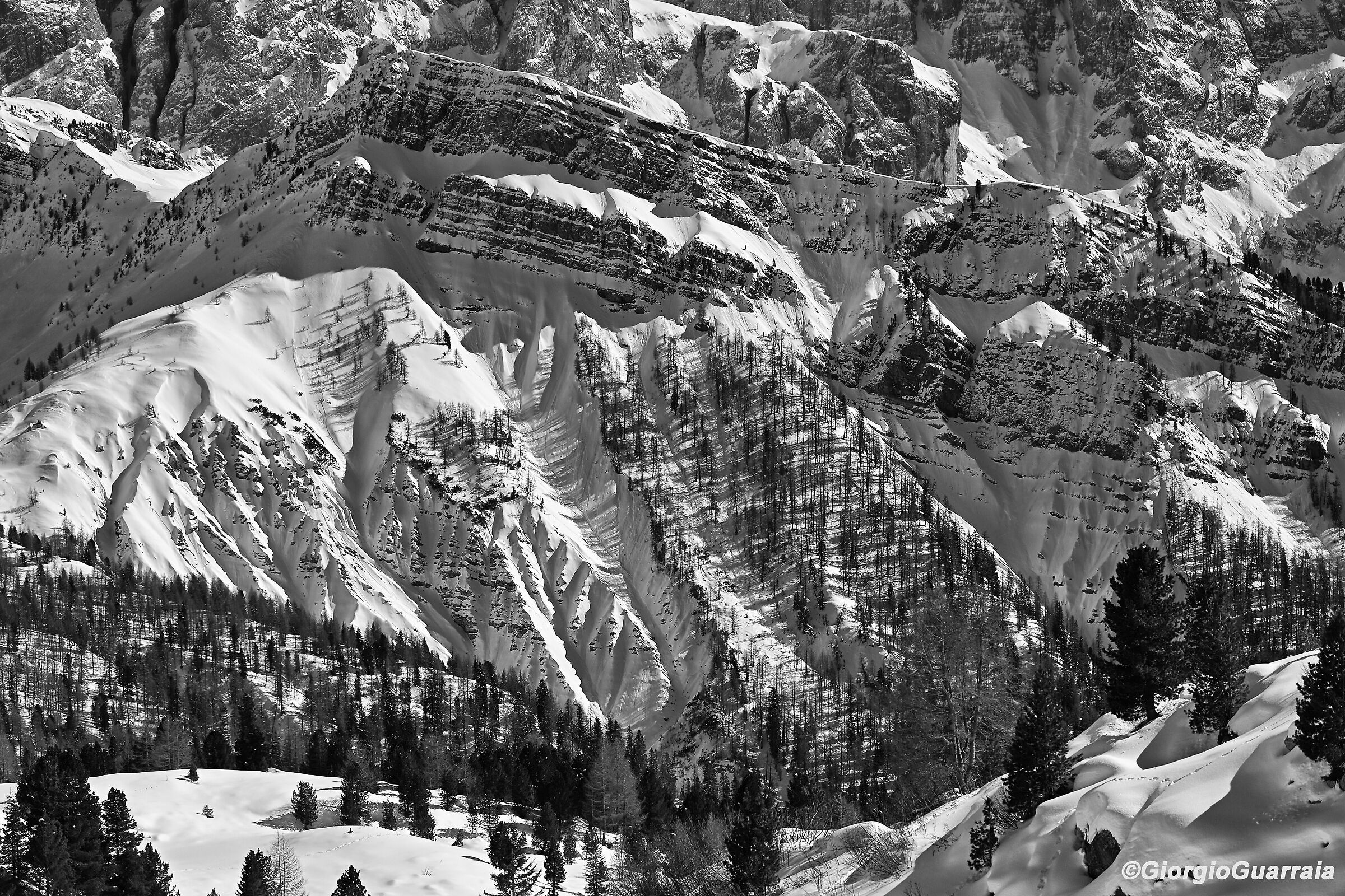 Snow and B+W