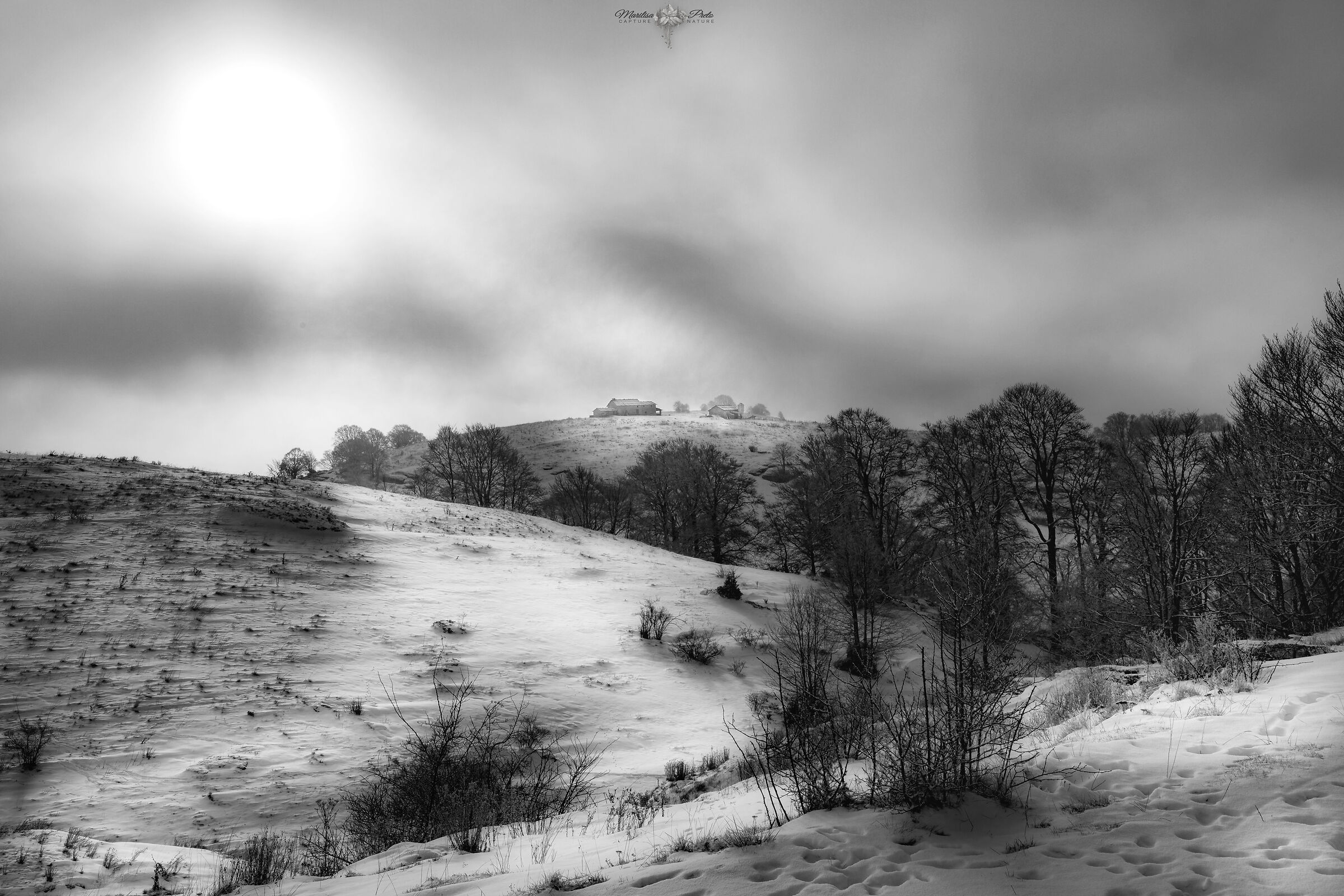 Fog in Lessinia