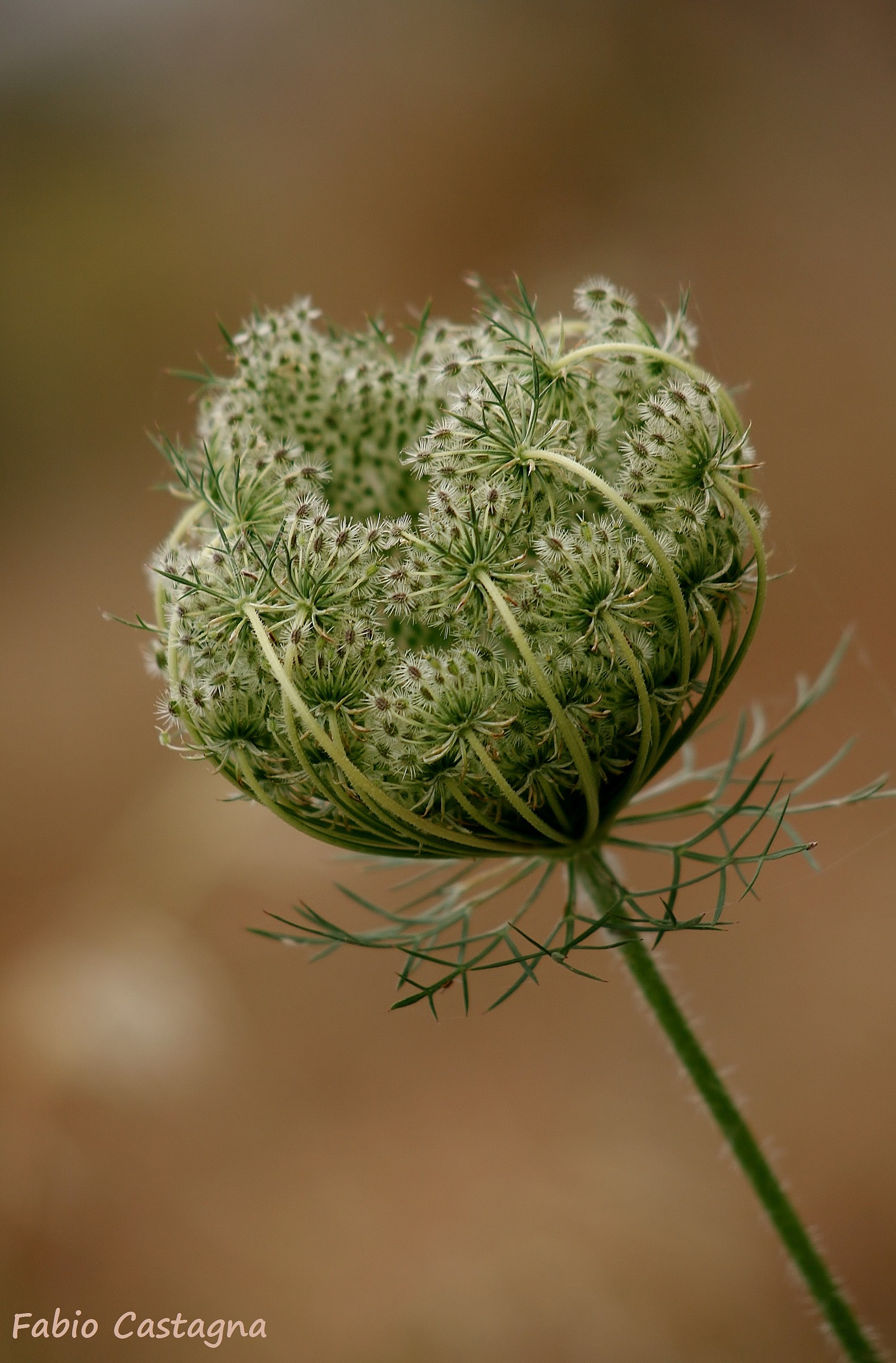 ...racchiuso in se stesso