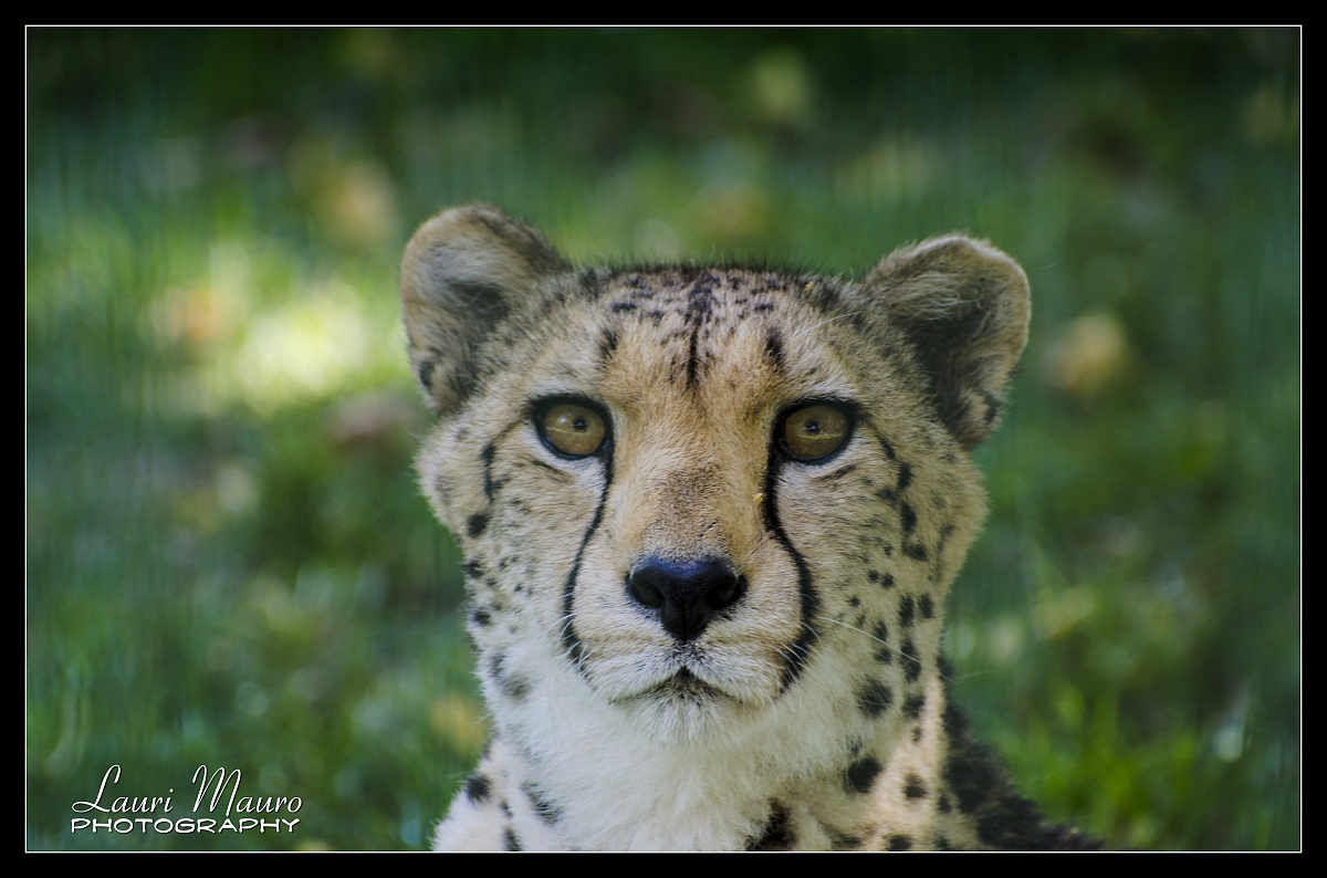 ...... state of high alert ....