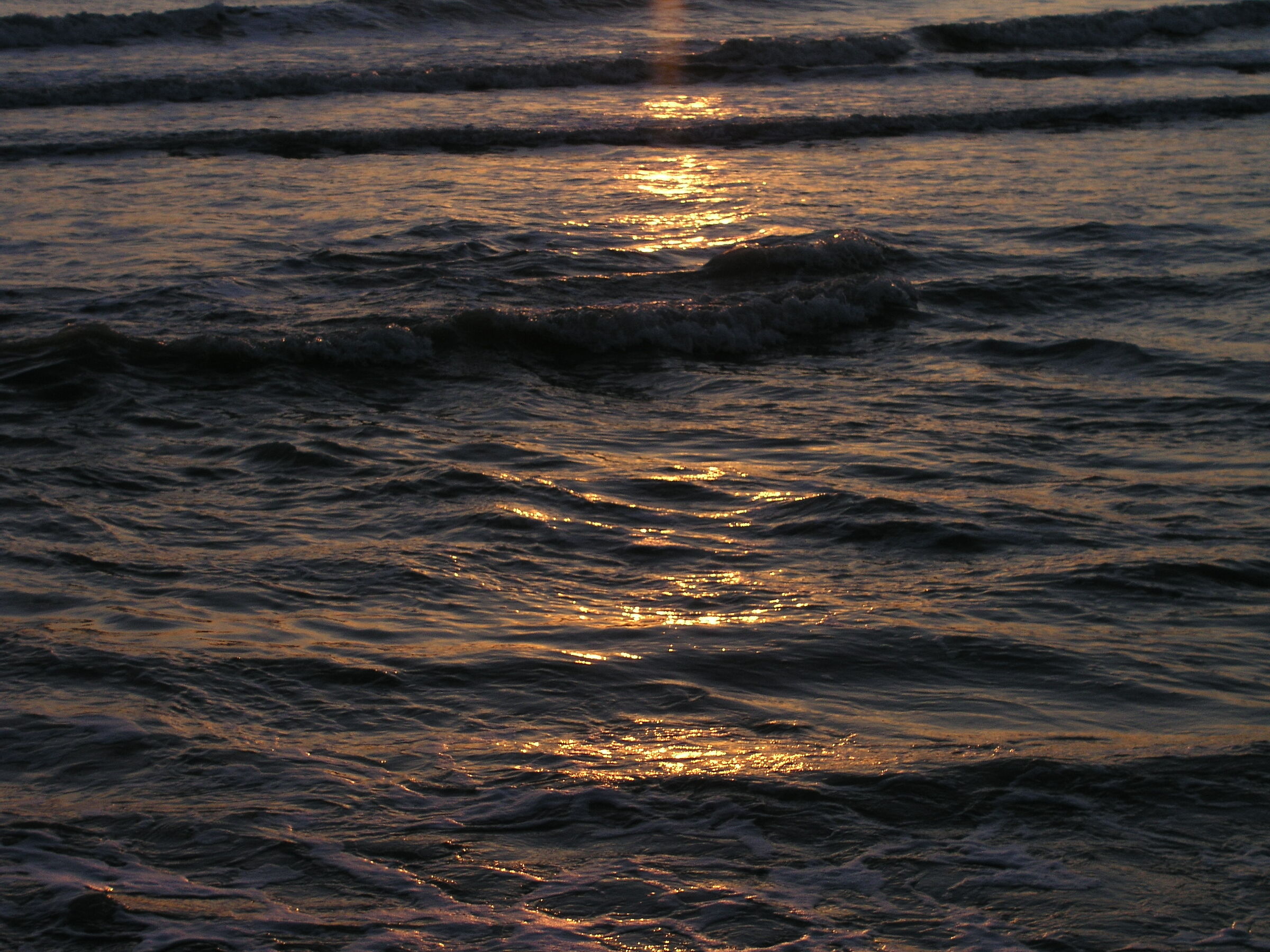 Alba numana