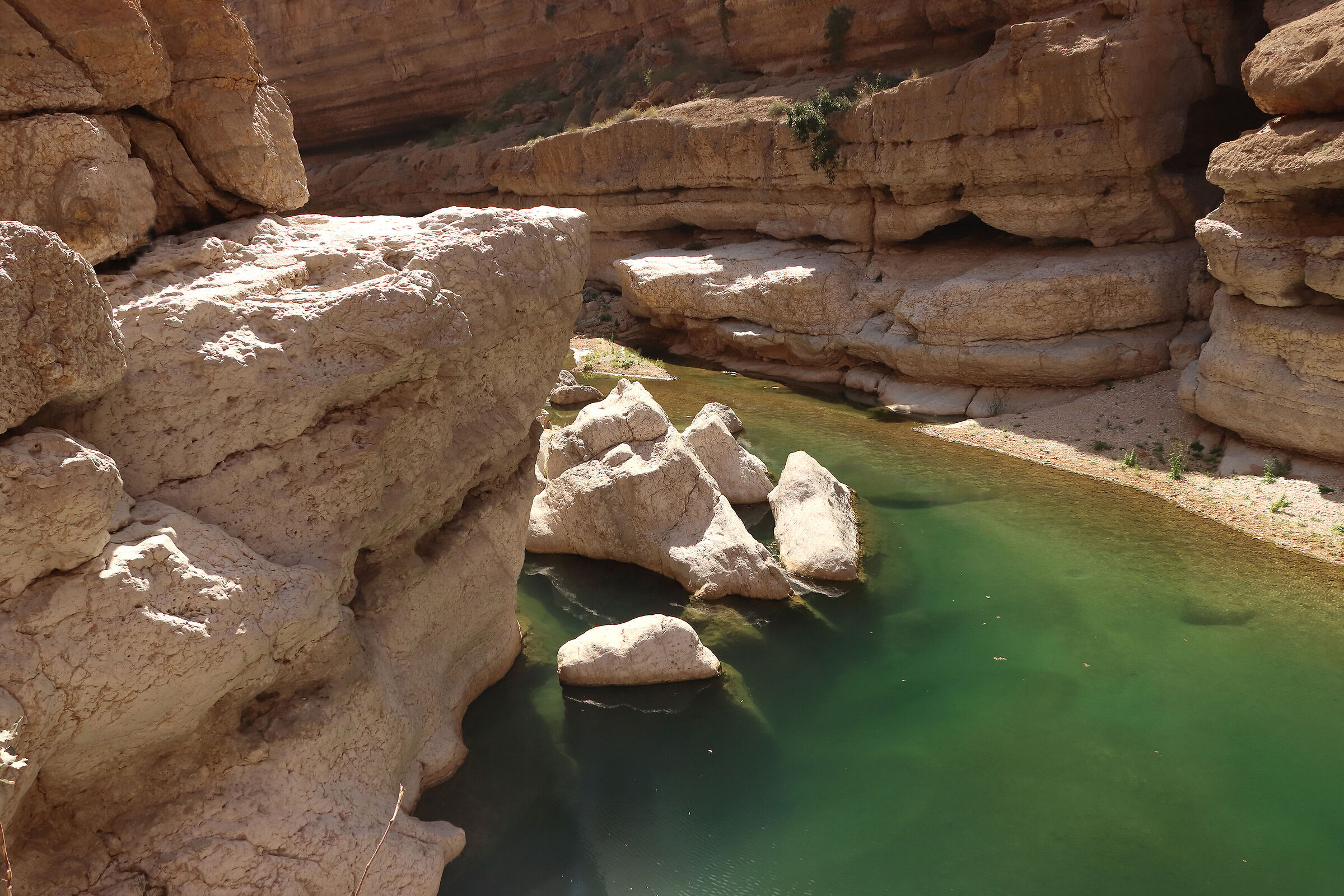 Wadi Shab - oasis of Oman