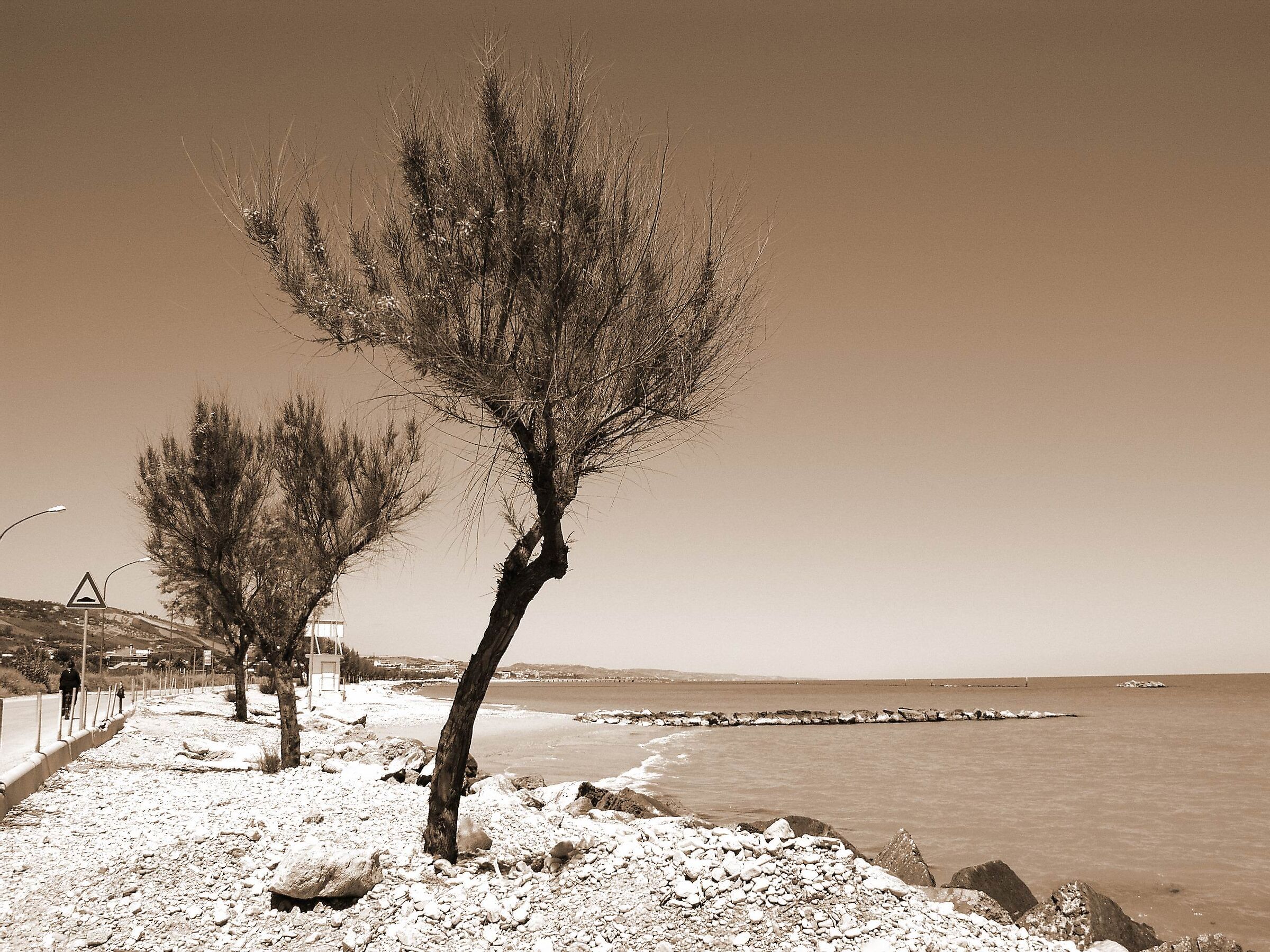 coast
