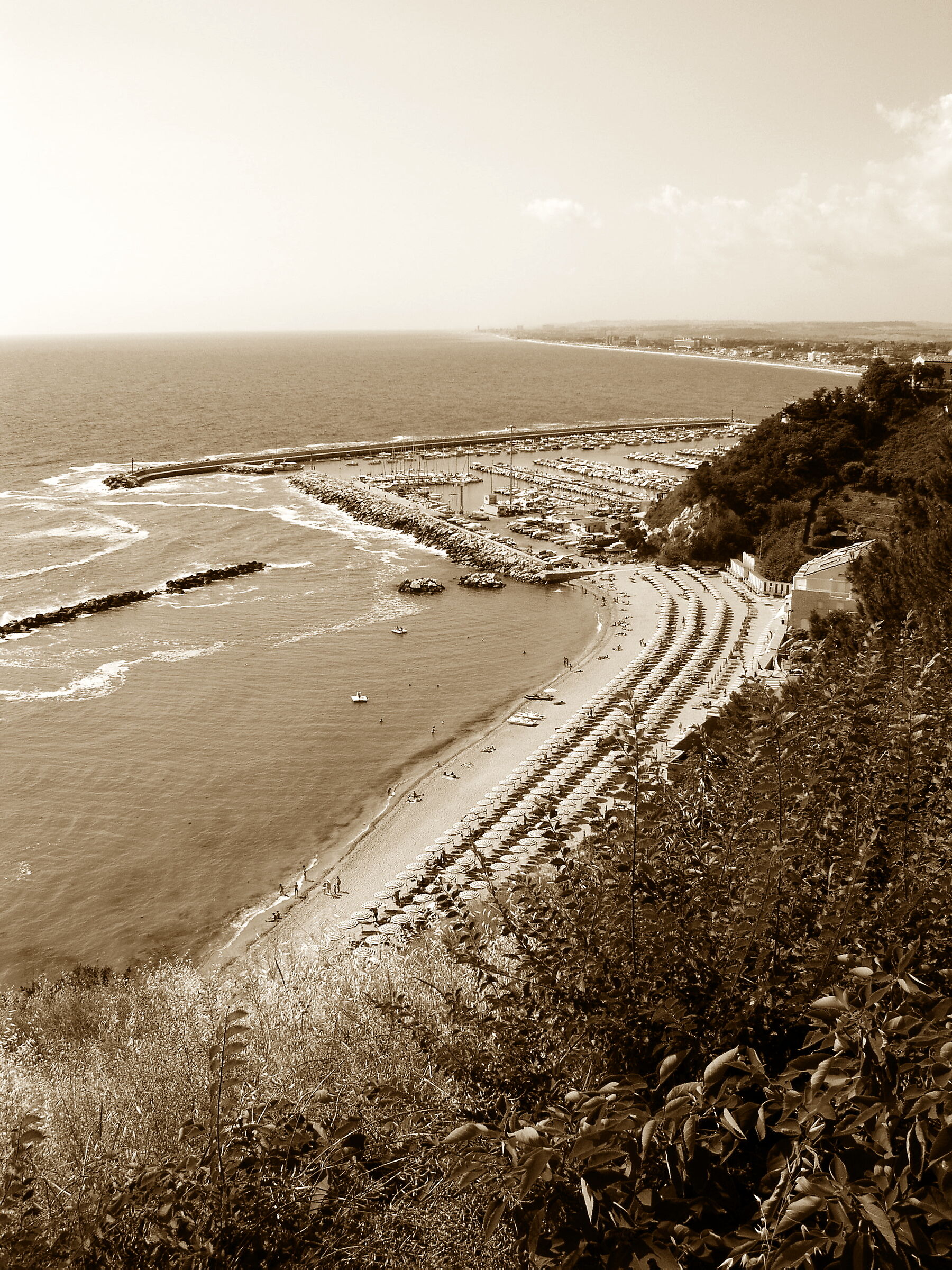 Sea panorama