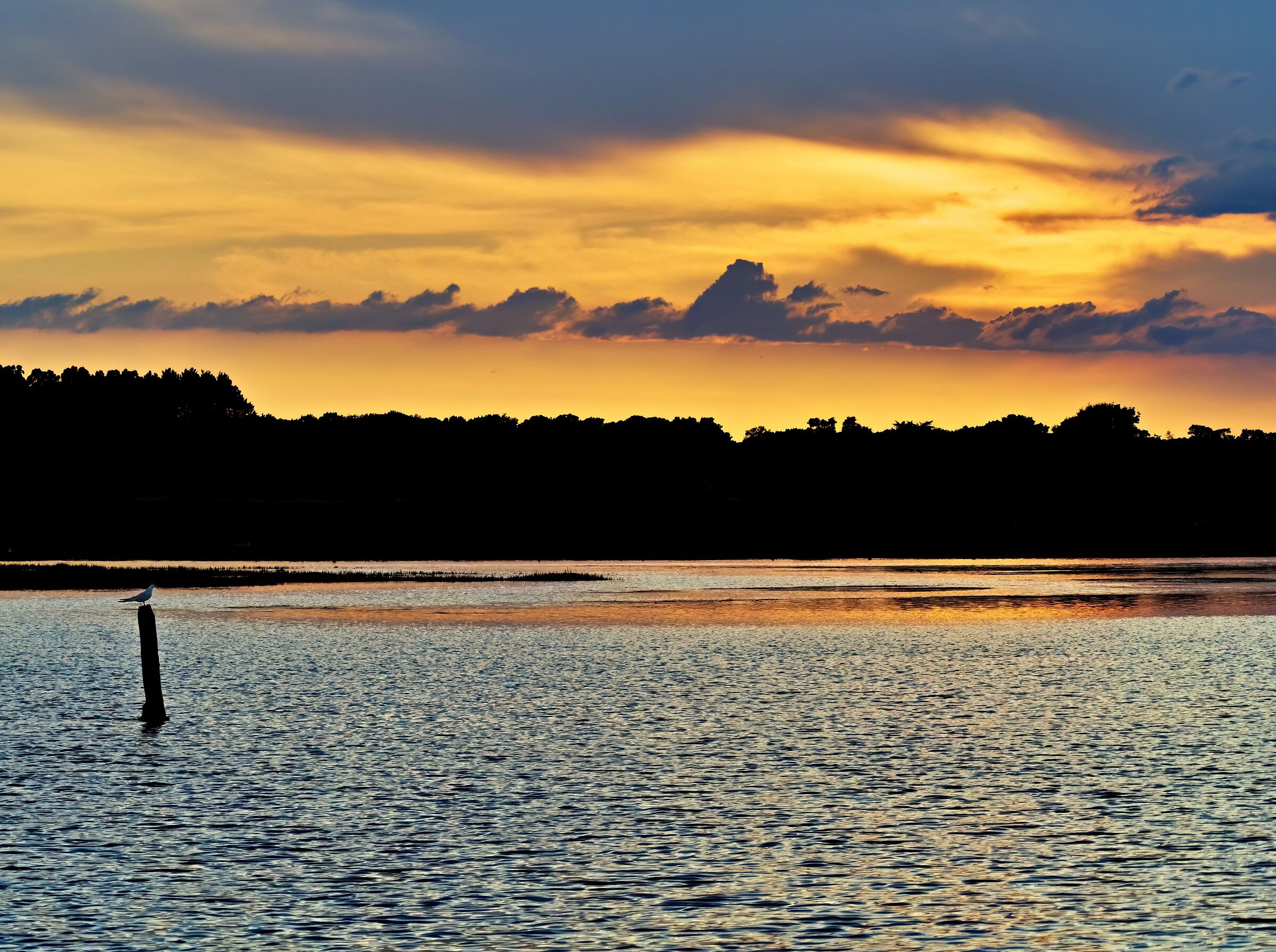MORBIHAN TOUR DU PARC ETANG PEN ER STEN 06-2023