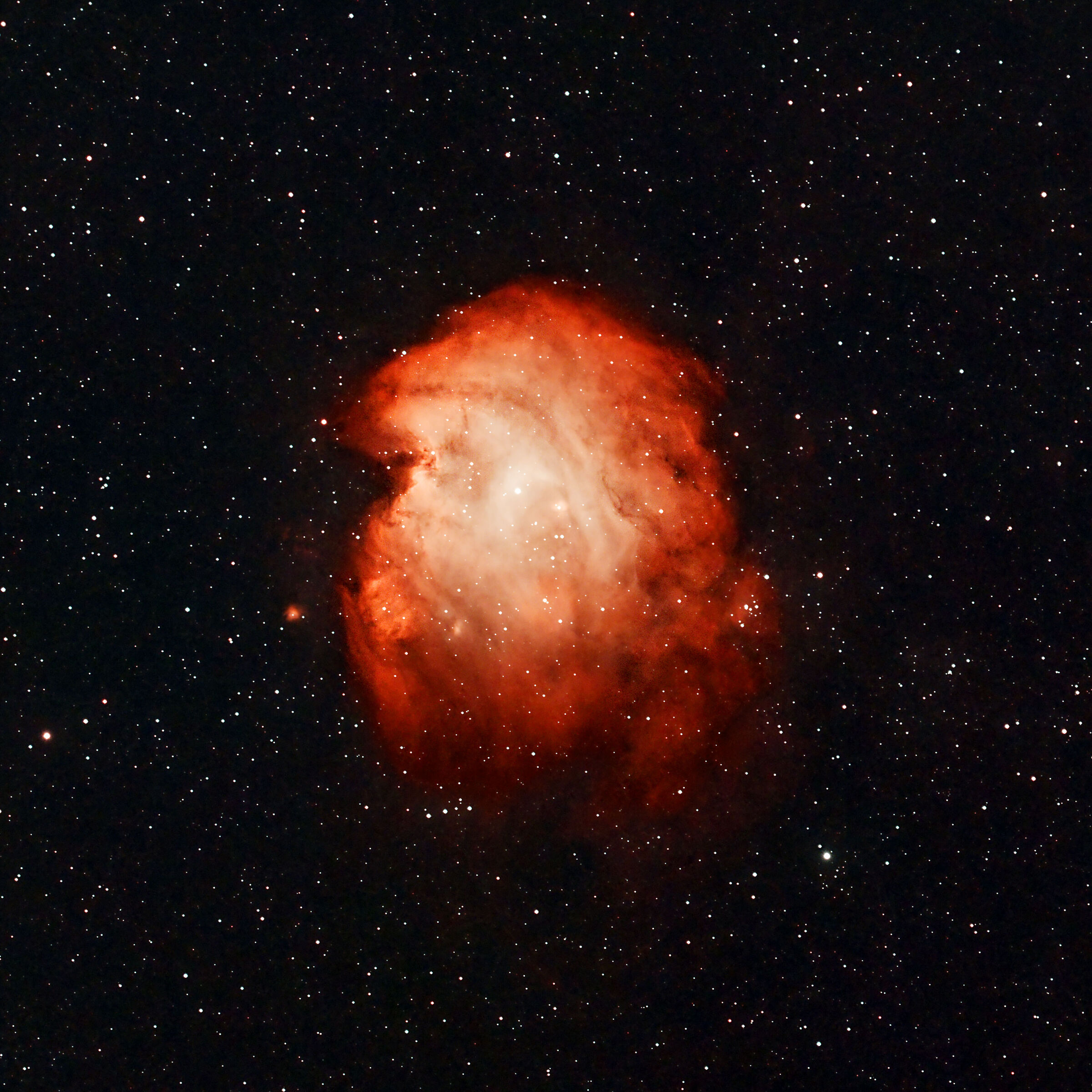 monkey head nebula