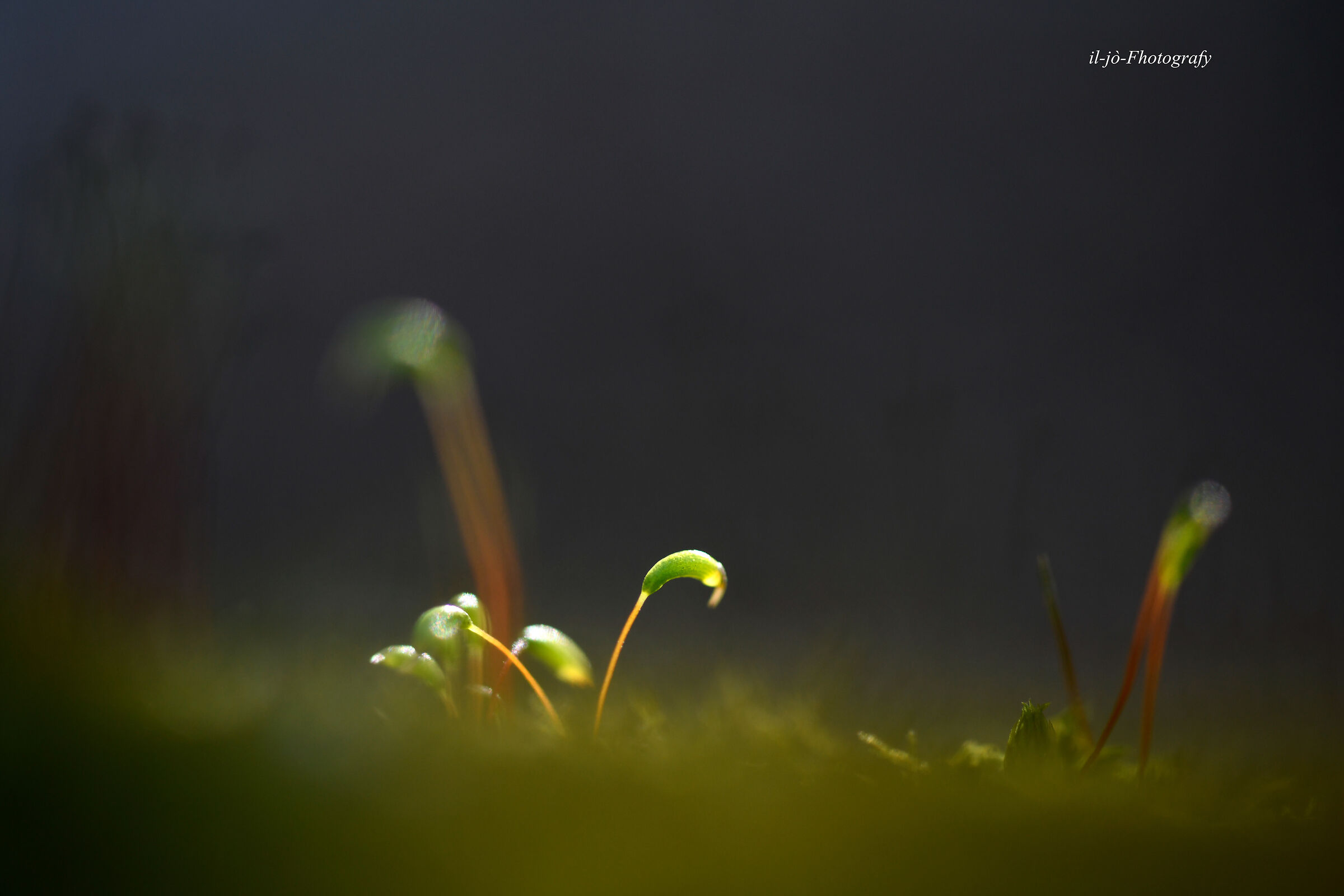 Untitled Photo