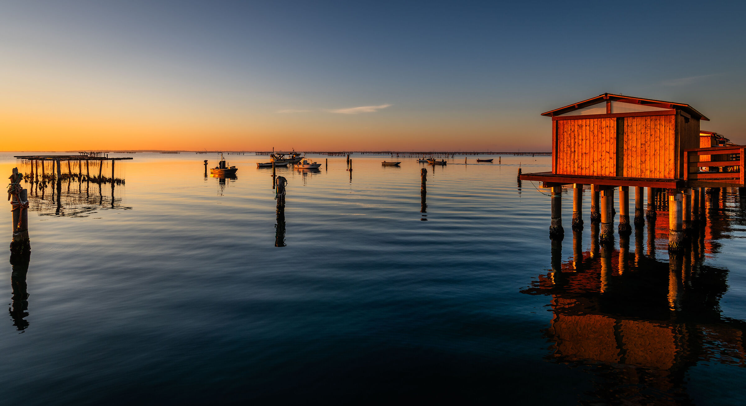 The warm evening light