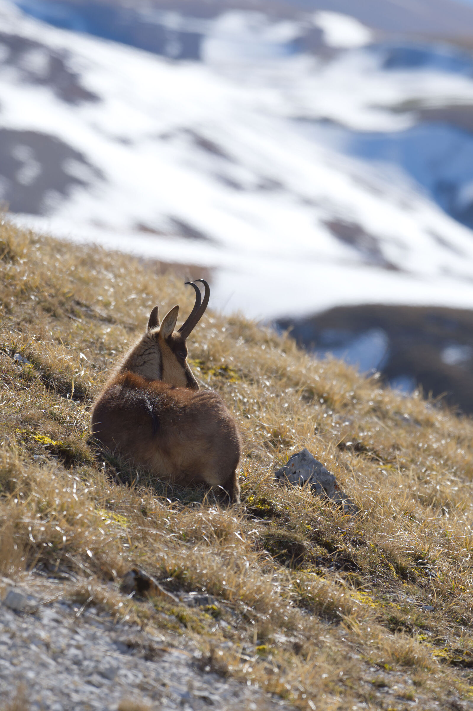 In the sun on the Sibillini