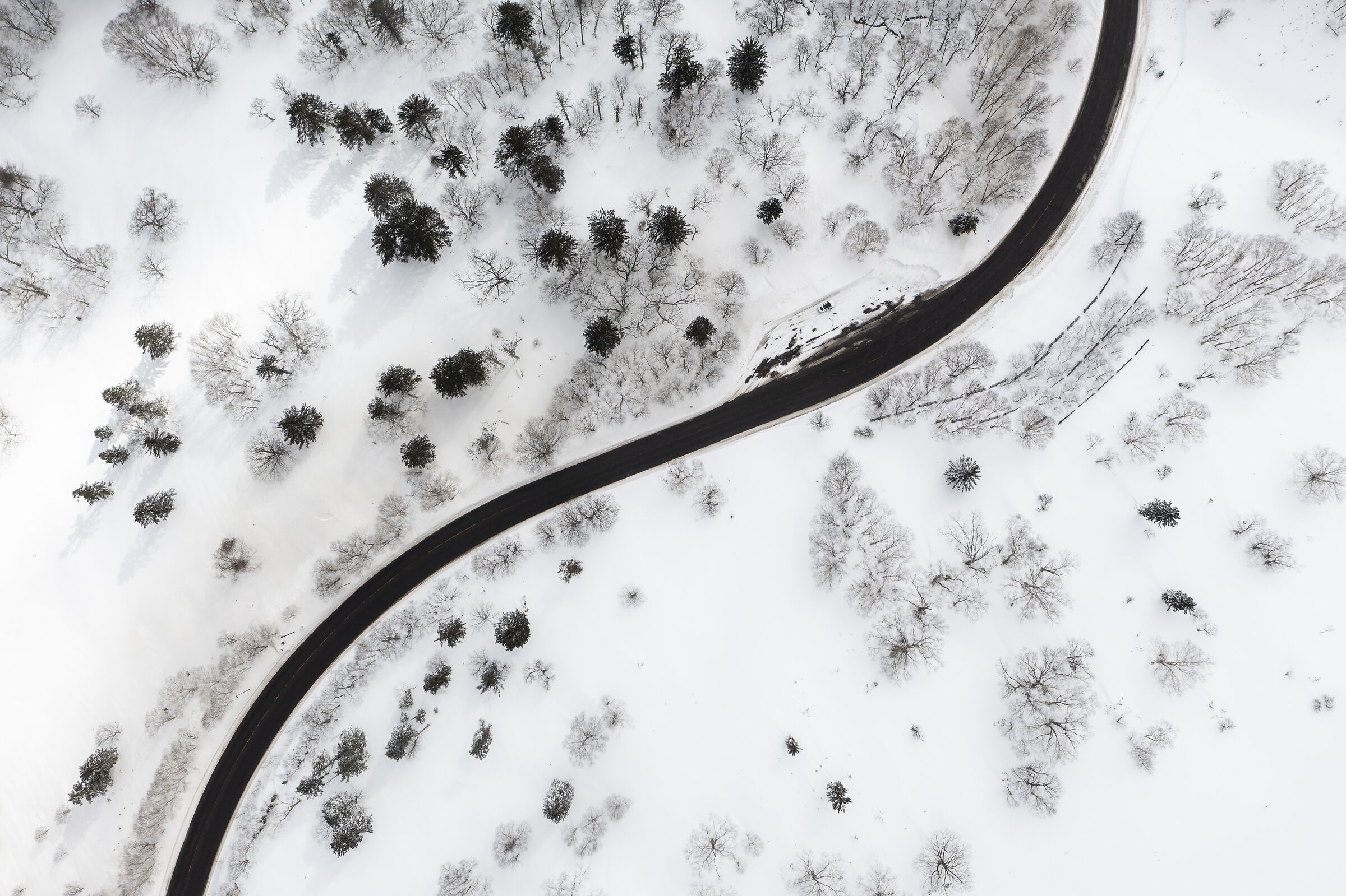 2025 Winter, Hokkaido Nature