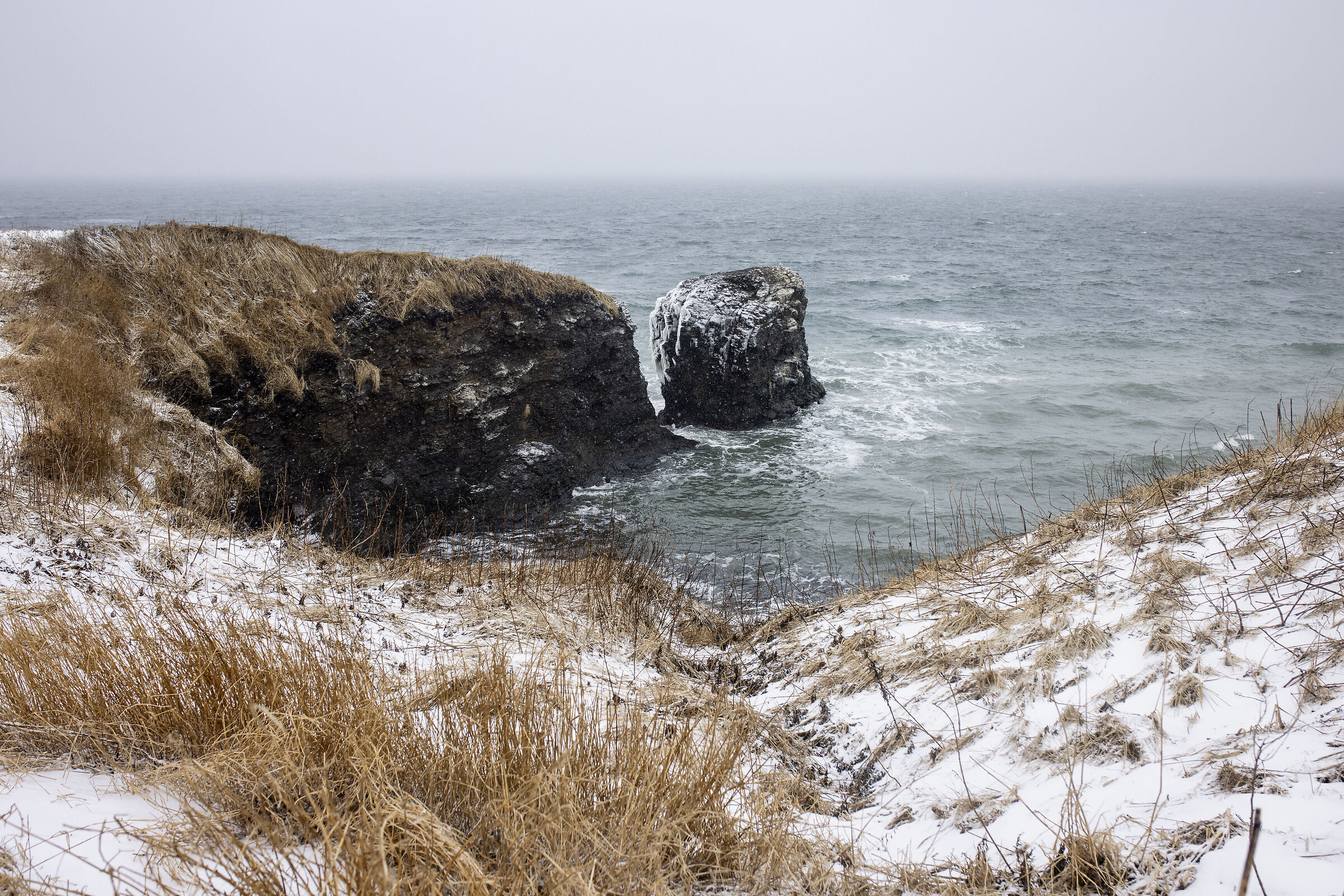 2025 Inverno, Giappone Selvaggio