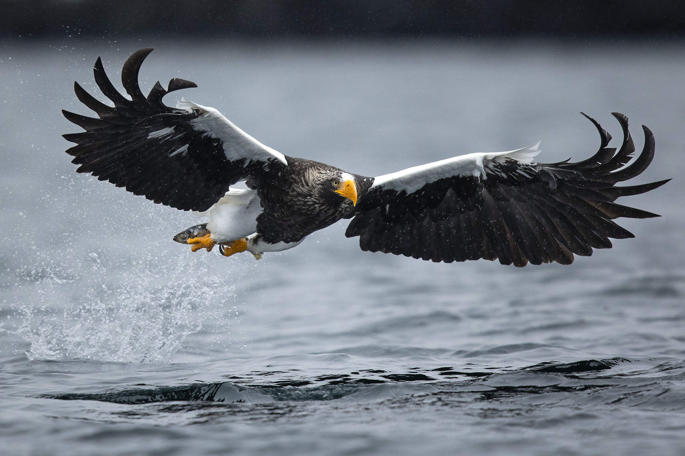 2025 Winter, Hokkaido Nature